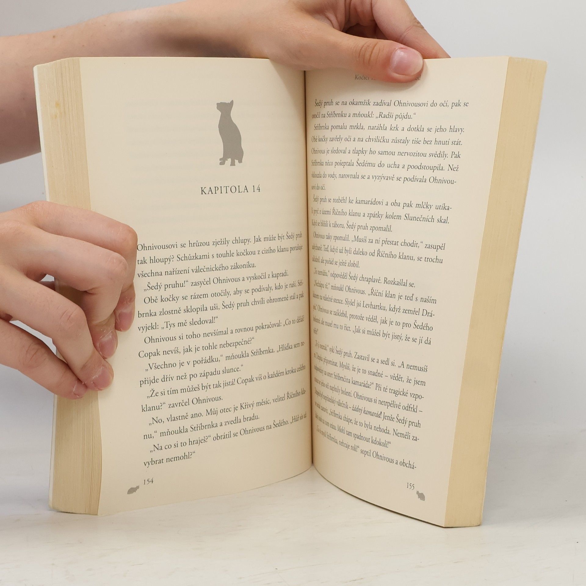 Erin Hunter Kočičí válečníci: Oheň a led