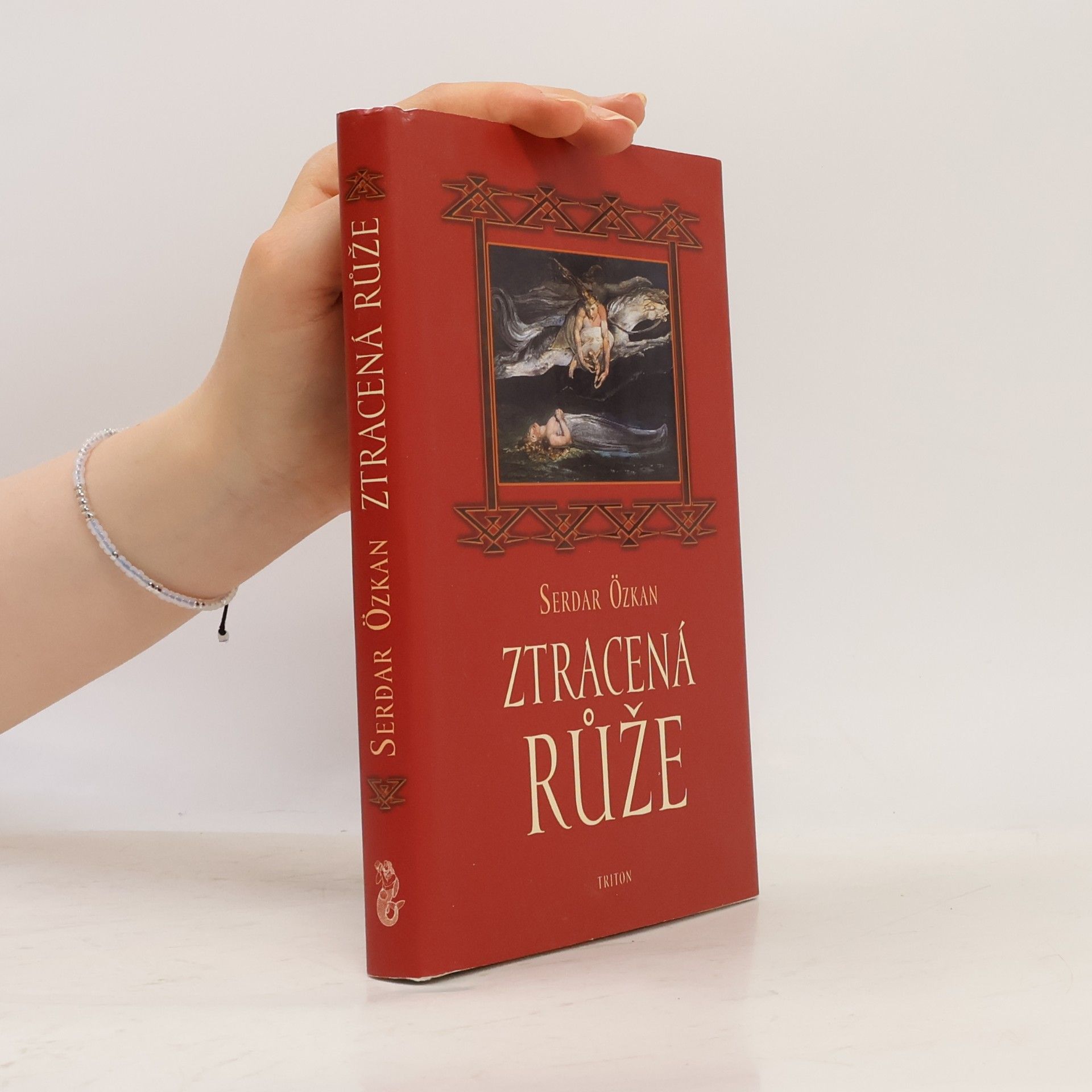 Serdar Özkan Ztracená růže
