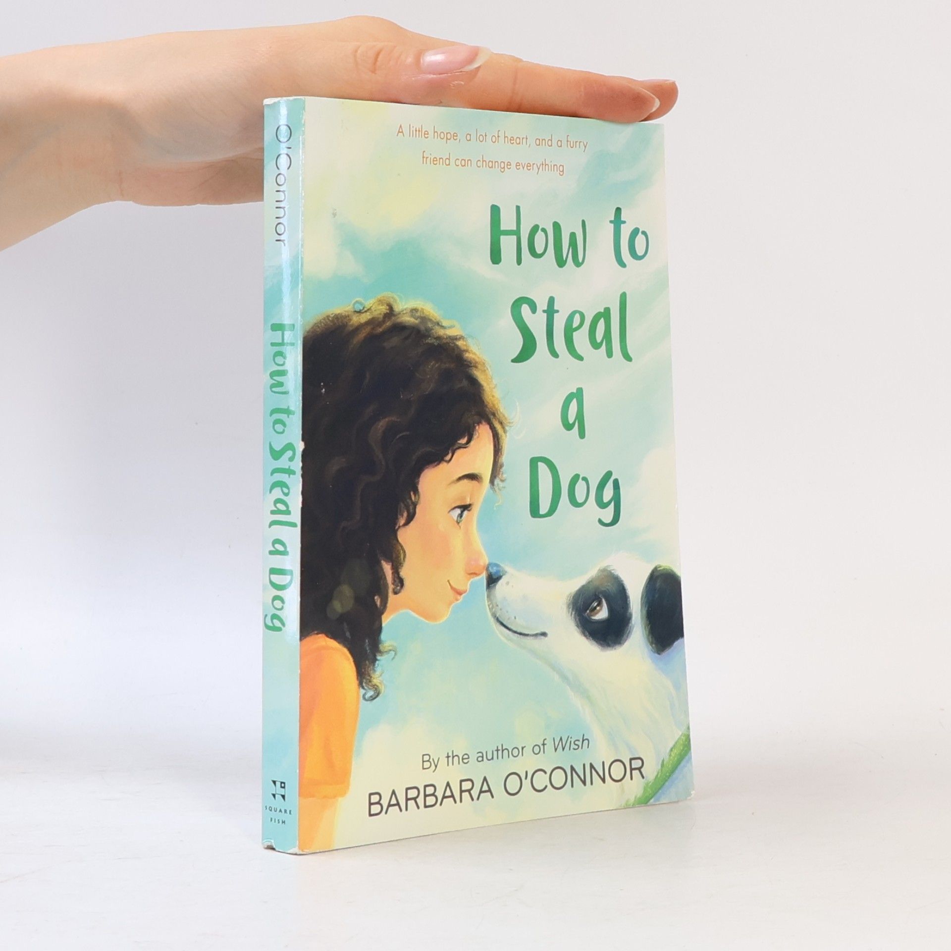 Barbara O'Connor How to Steal a Dog