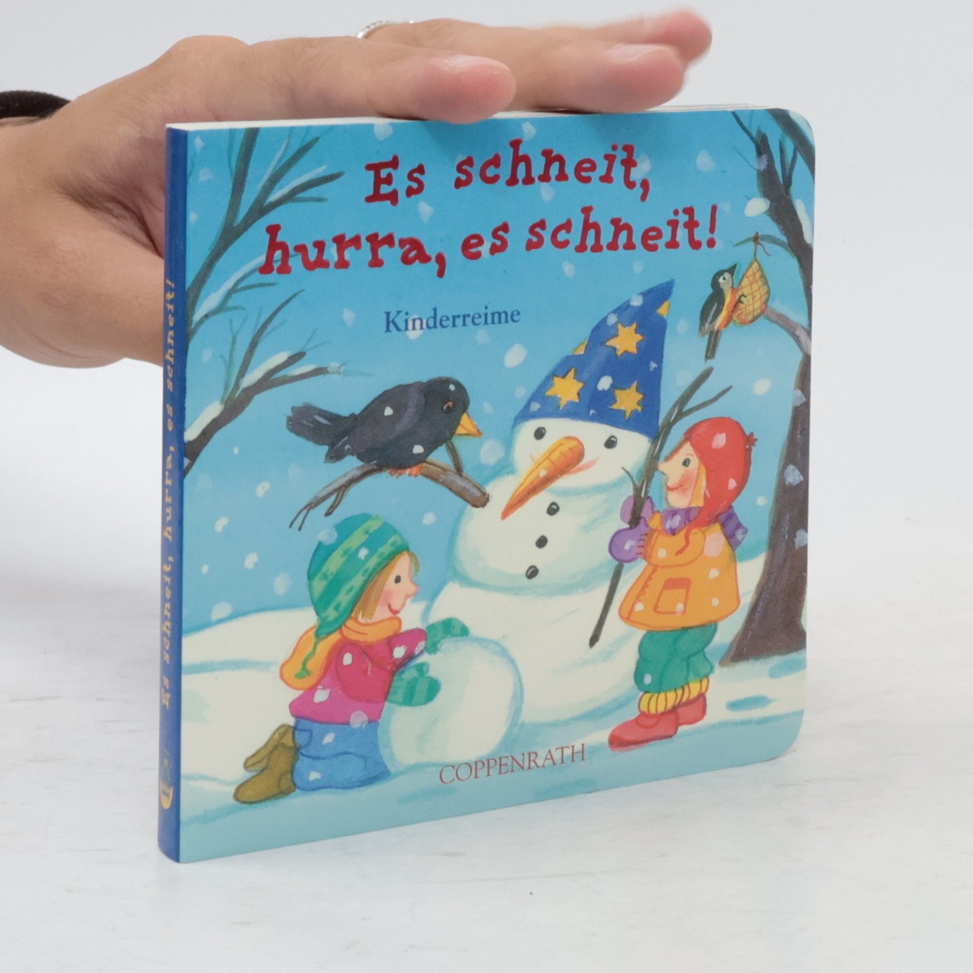 Autorenkollektiv Es schneit, hurra, es schneit!
