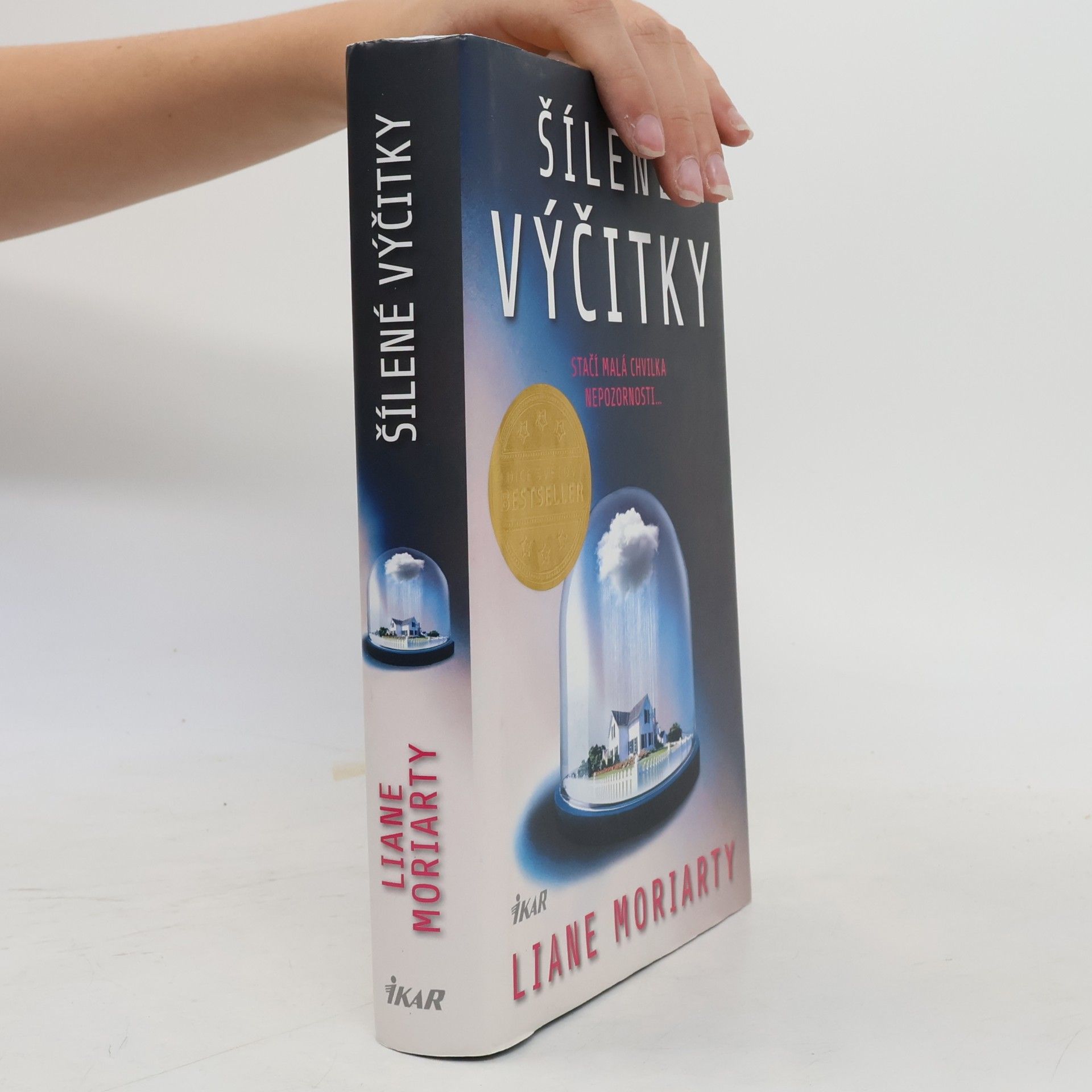 Liane Moriarty Šílené výčitky