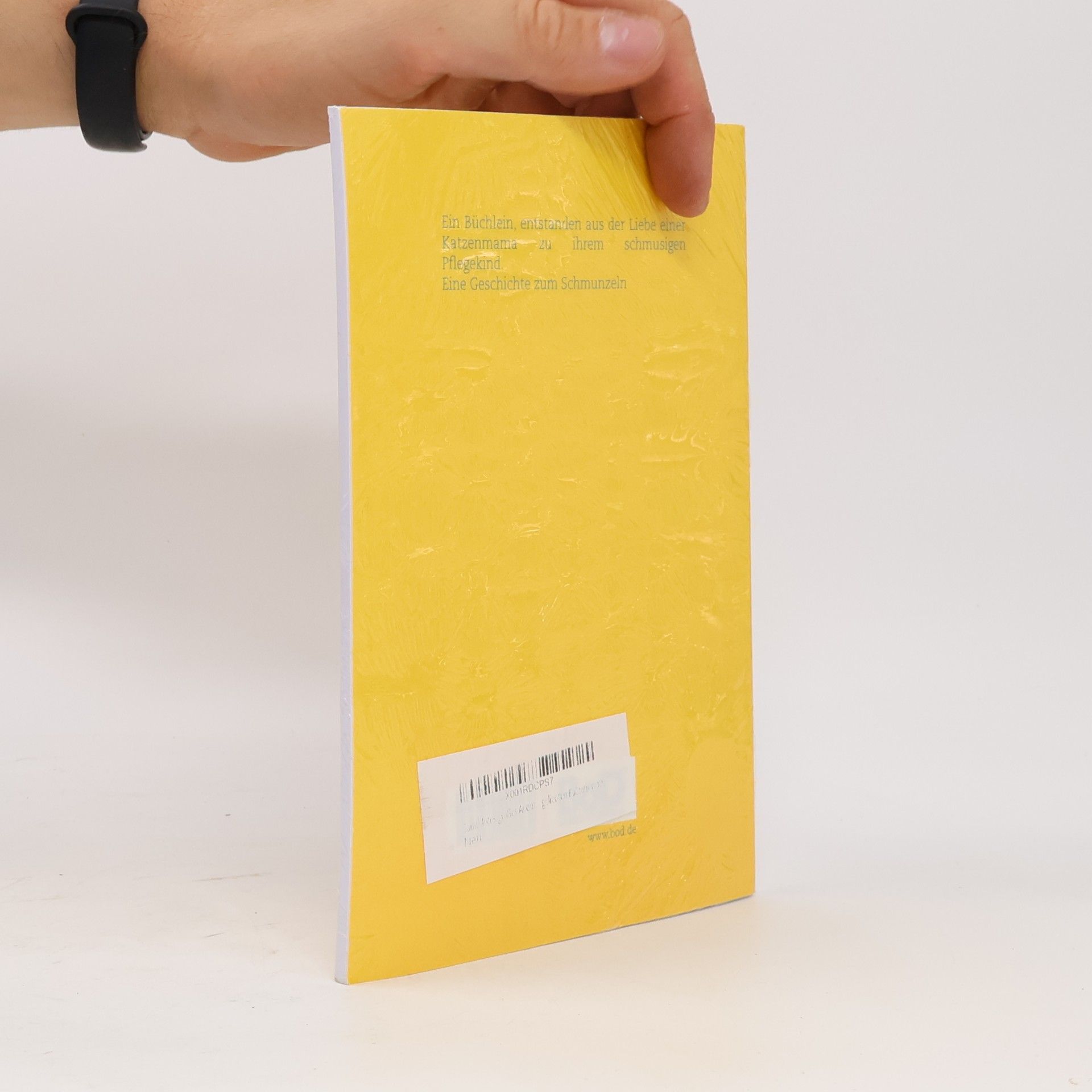 Autorenkollektiv Samtpfotes großes Abenteuer