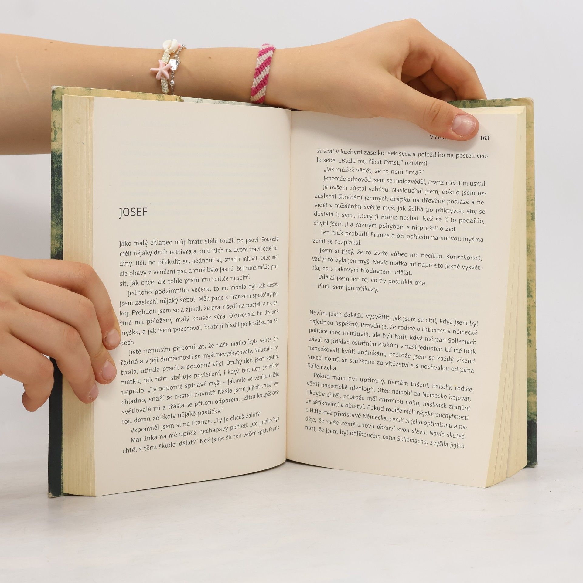 Jodi Picoult Vypravěčka