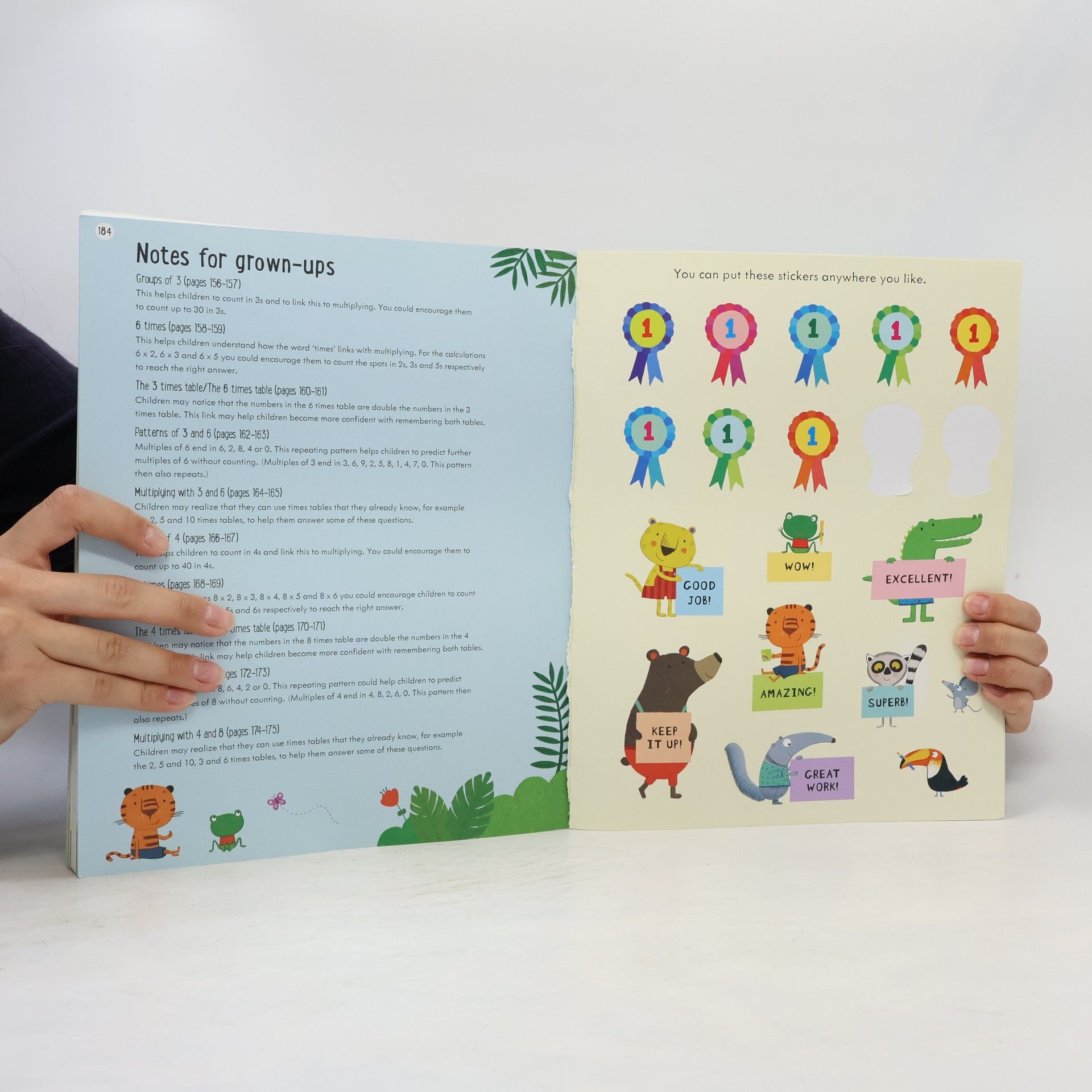 Holly Bathie Usborne Workbooks: Usborne English and Maths Giant Workbook 6-7