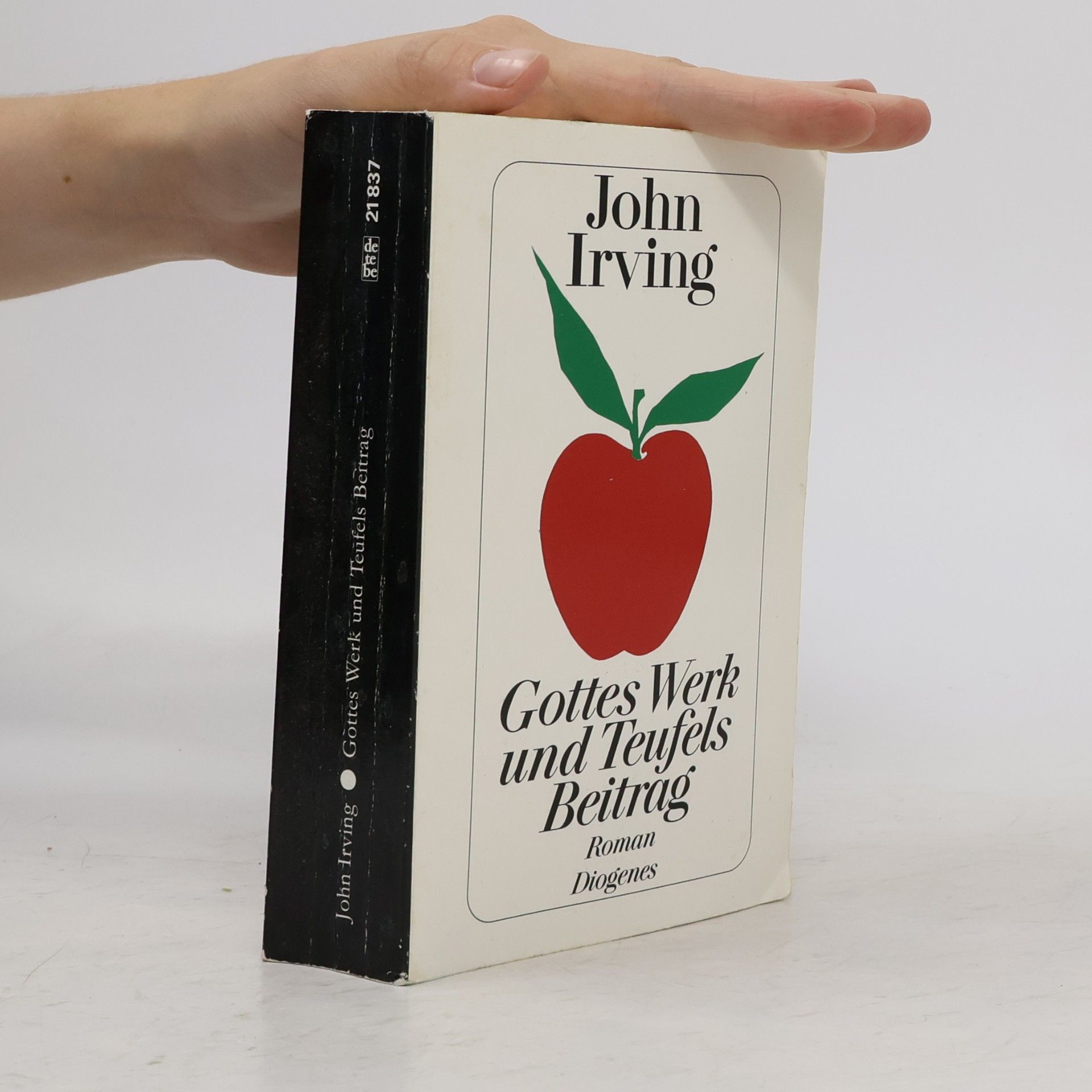 John Irving Gottes Werk und Teufels Beitrag
