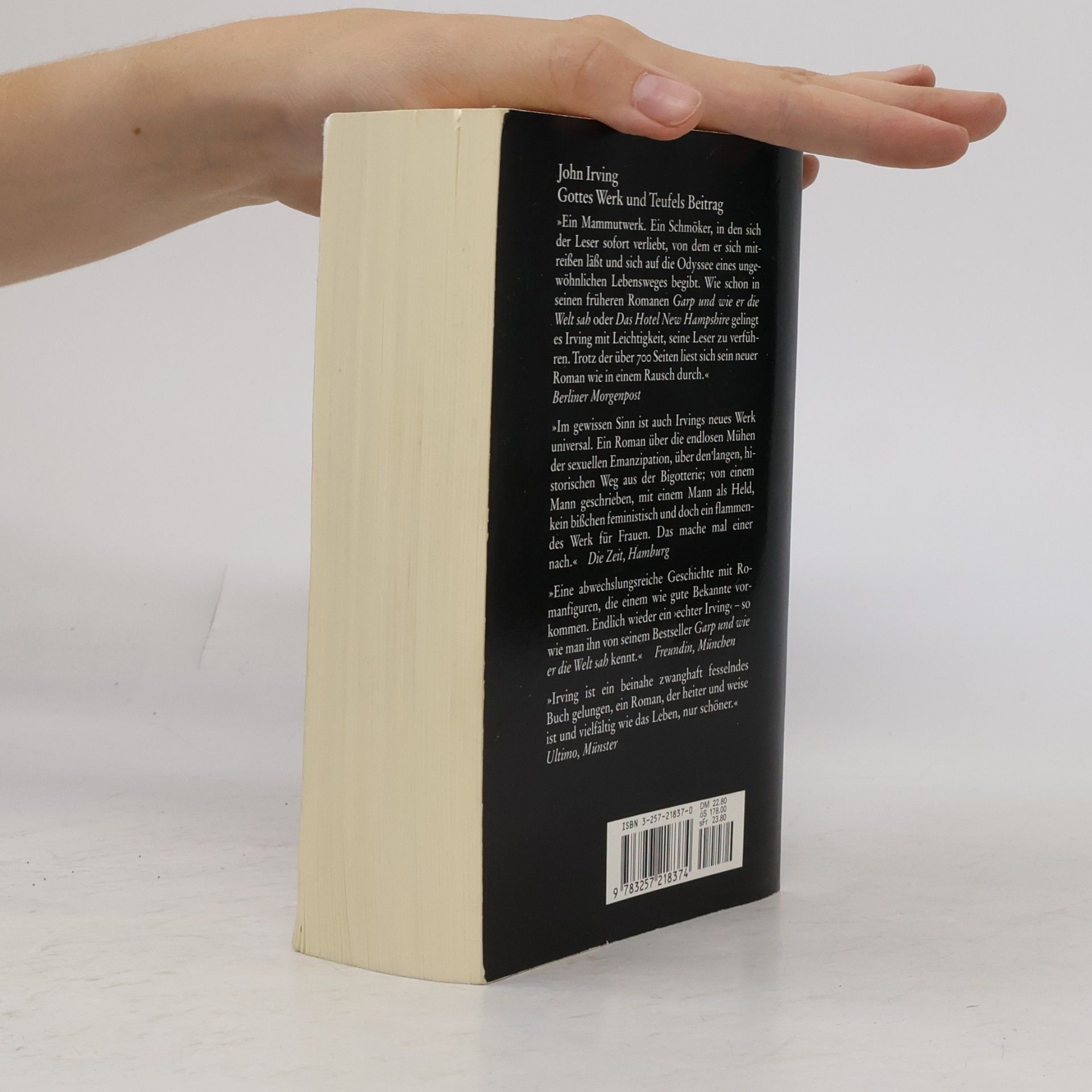 John Irving Gottes Werk und Teufels Beitrag