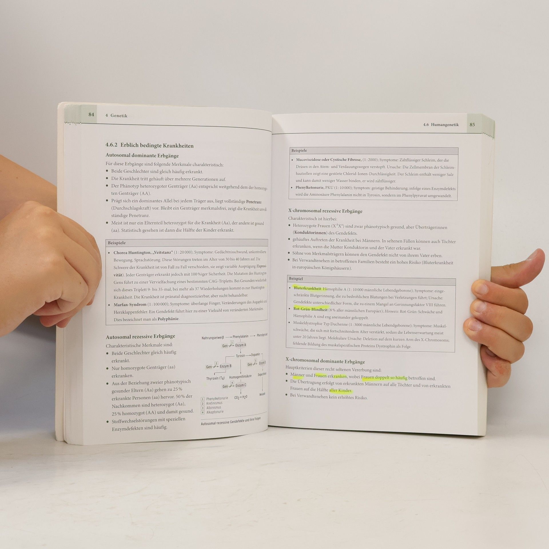 Margareta Hillesheim Biologie. Abitur clever vorbereitet
