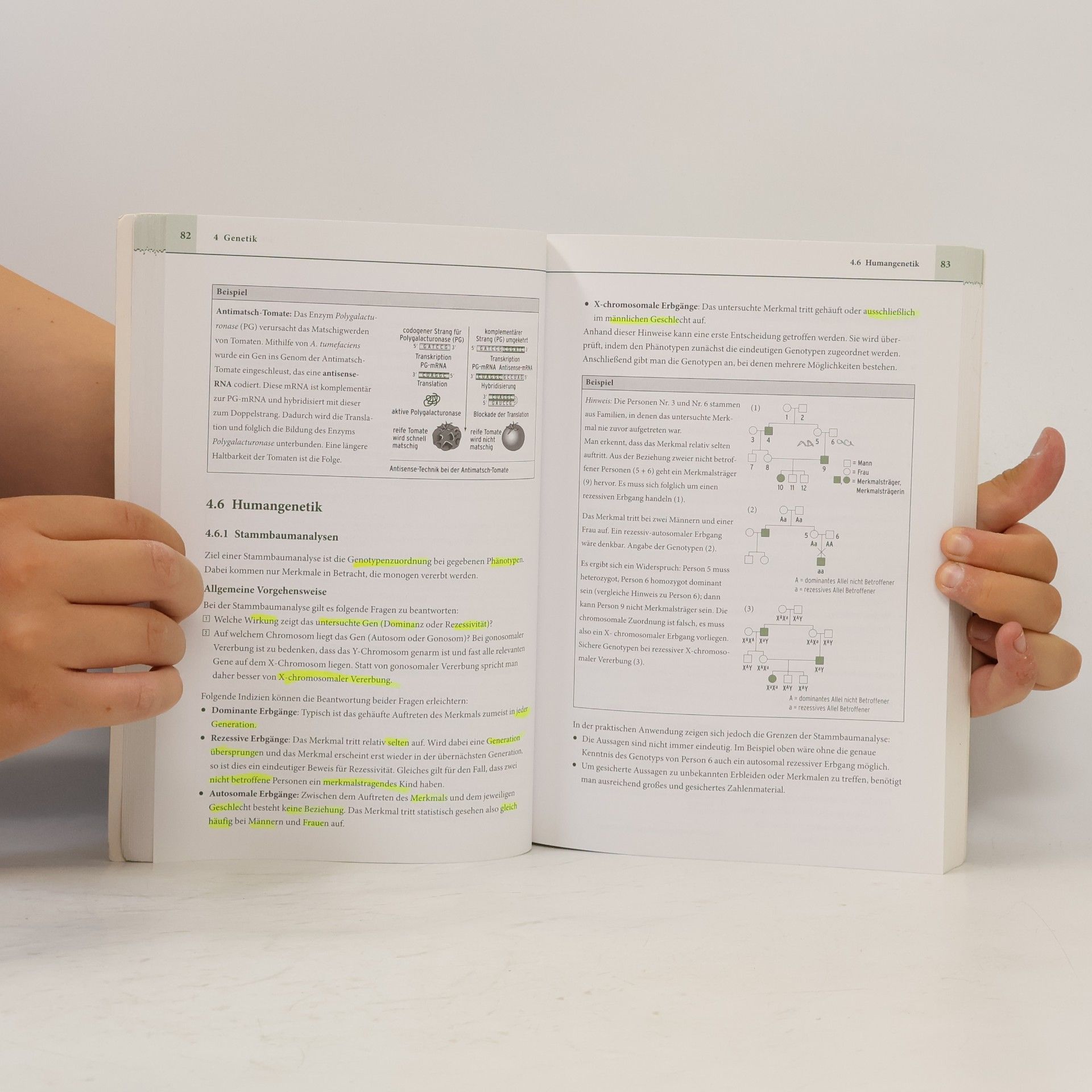 Margareta Hillesheim Biologie. Abitur clever vorbereitet