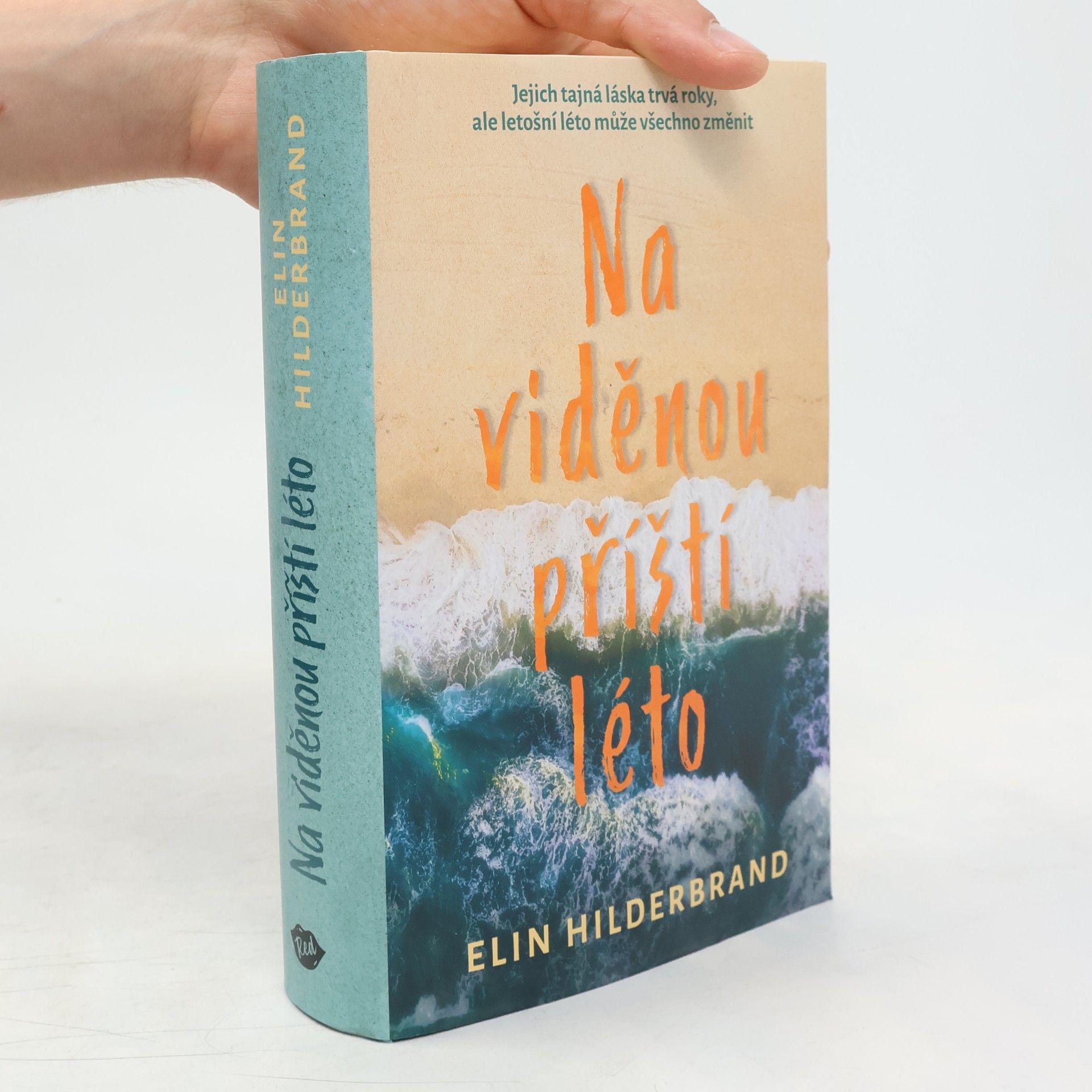 Elin Hilderbrand Na viděnou příští léto