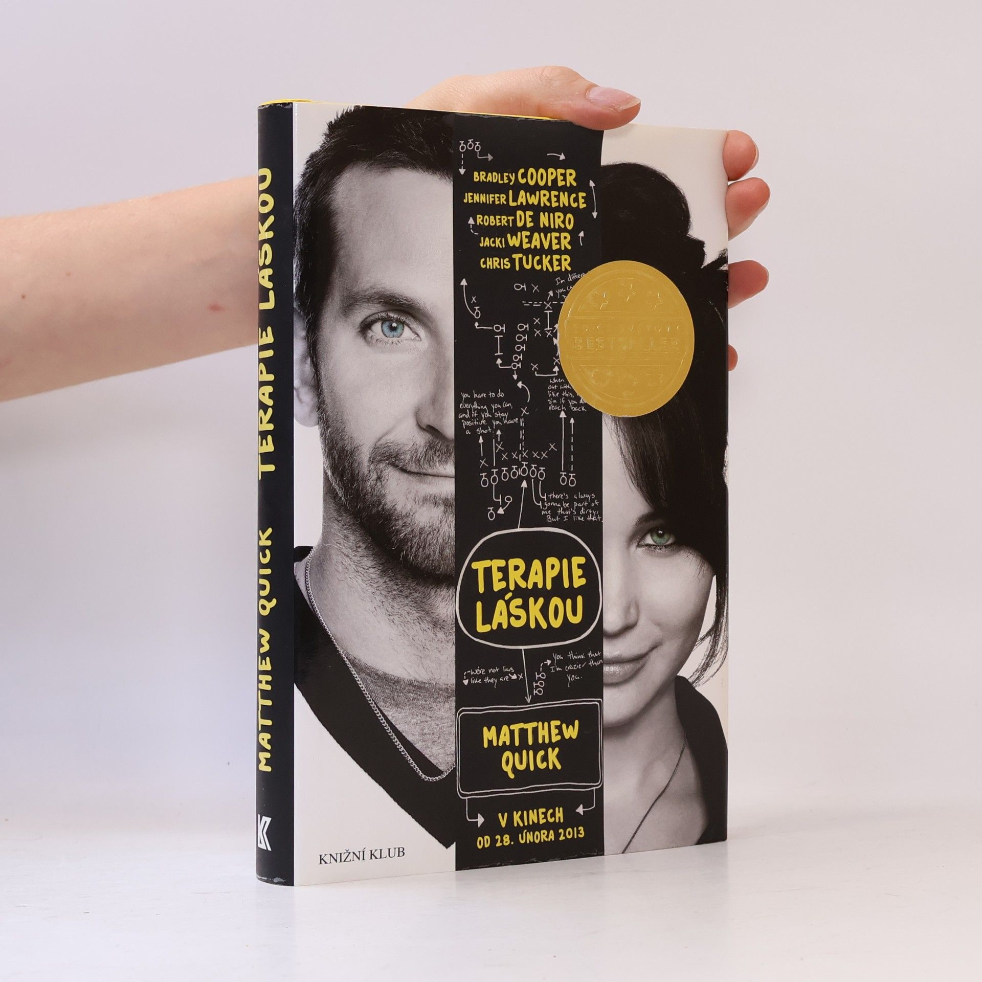 Matthew Quick Terapie láskou