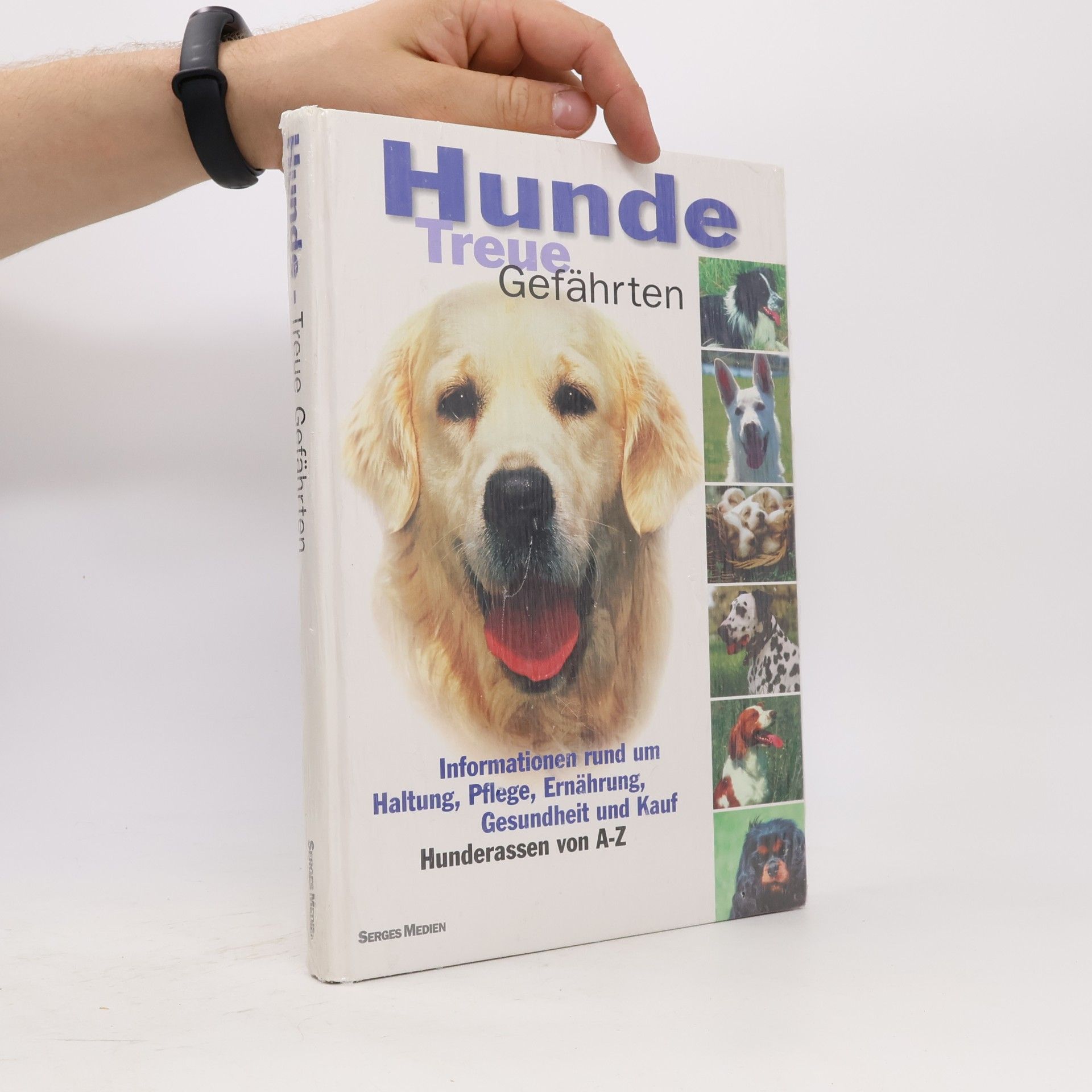 Autorenkollektiv Hunde Treue Gefährten