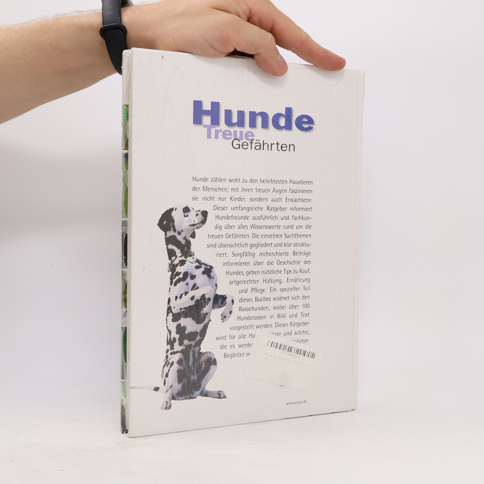 Various authors Hunde Treue Gefährten