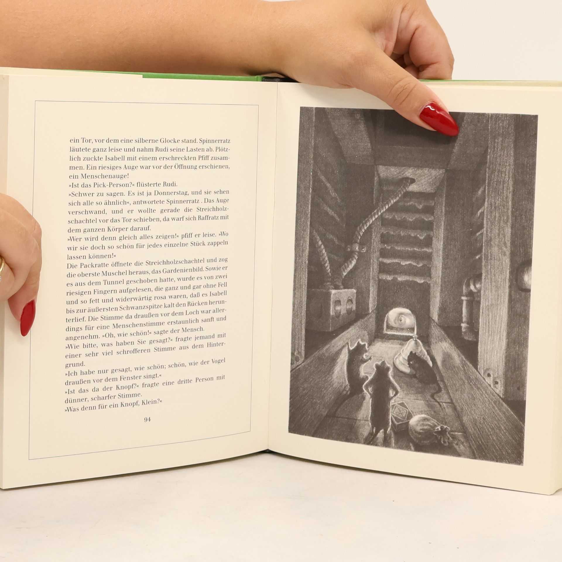 Tor Seidler Die Story von Monty Spinnerratz