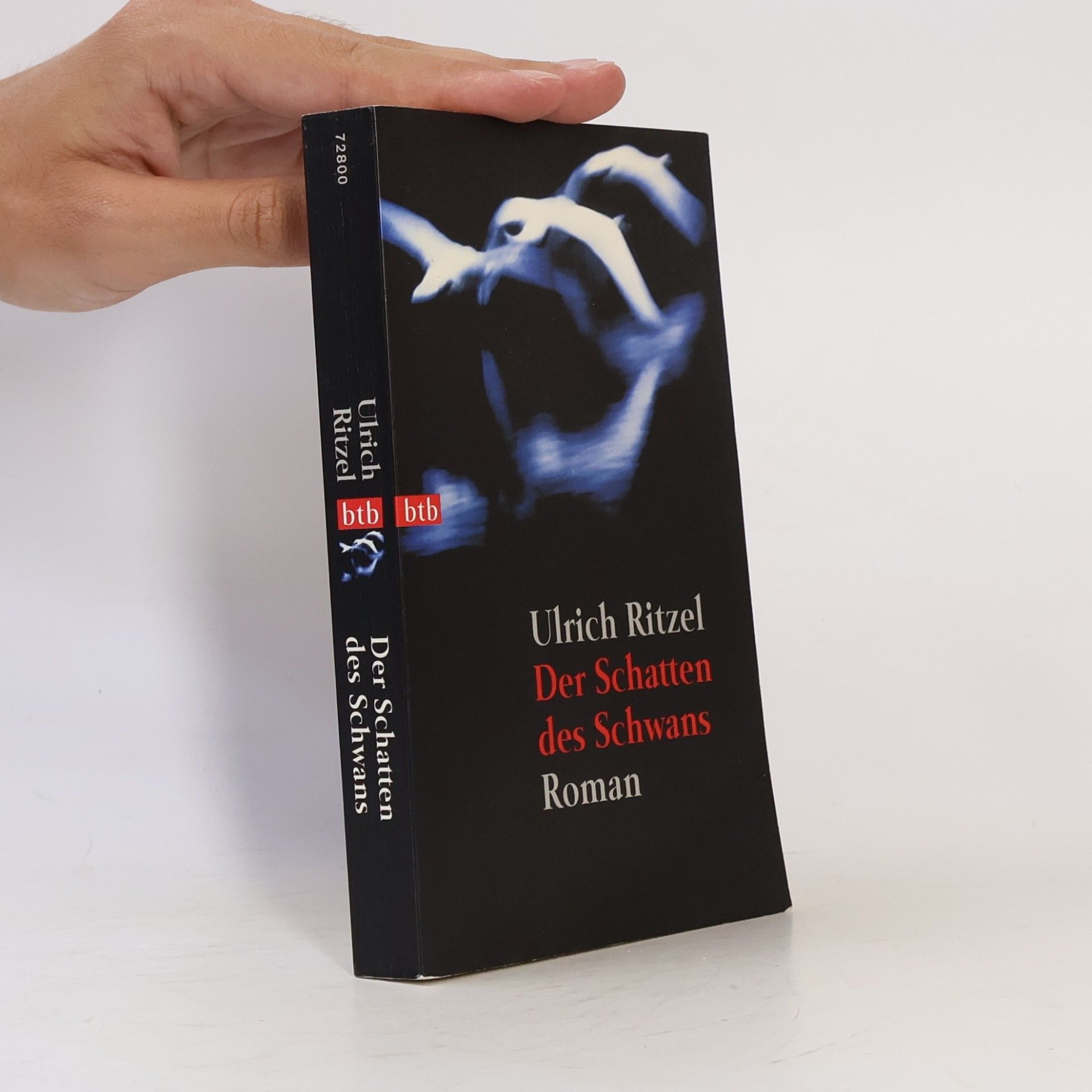 Ulrich Ritzel Der Schatten des Schwans