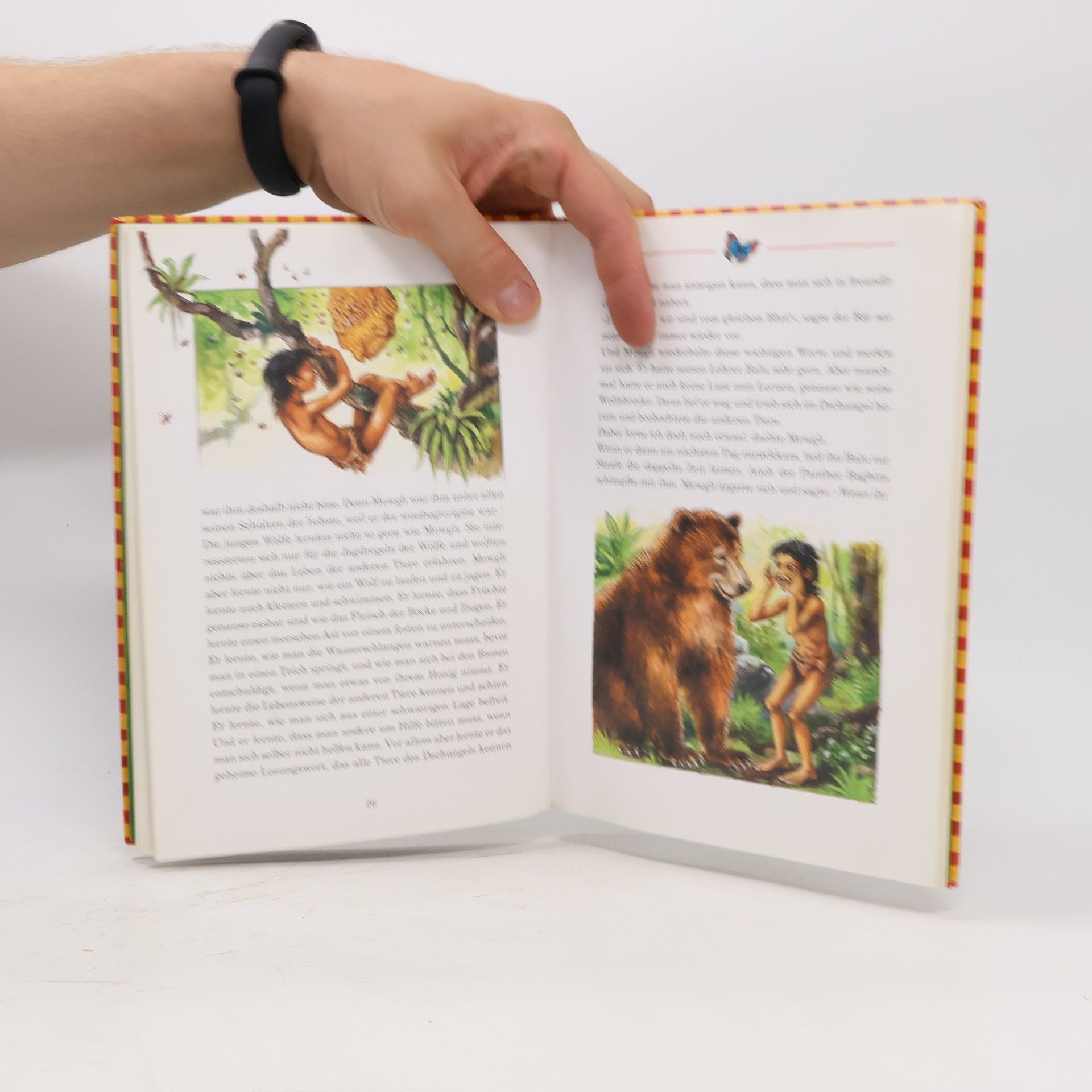 Rudyard Kipling Das Dschungelbuch
