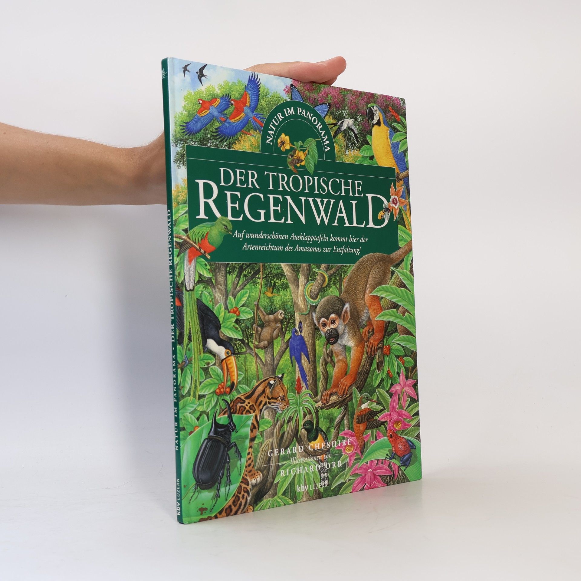 Der tropische Regenwald