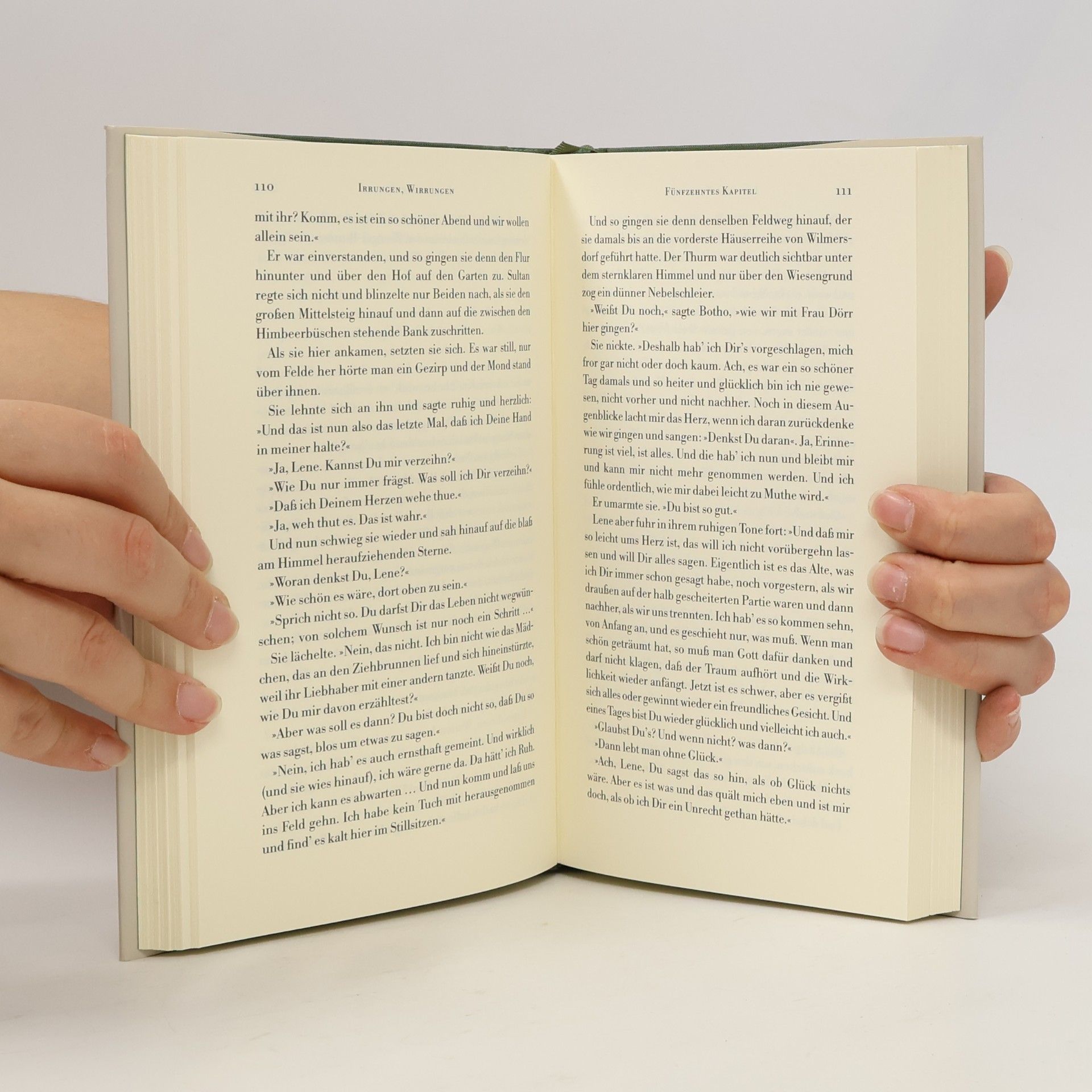 Theodor Fontane Das Erzählerische Werk, Grosse Brandenburger Ausgabe - 10: Irrungen, Wirrungen