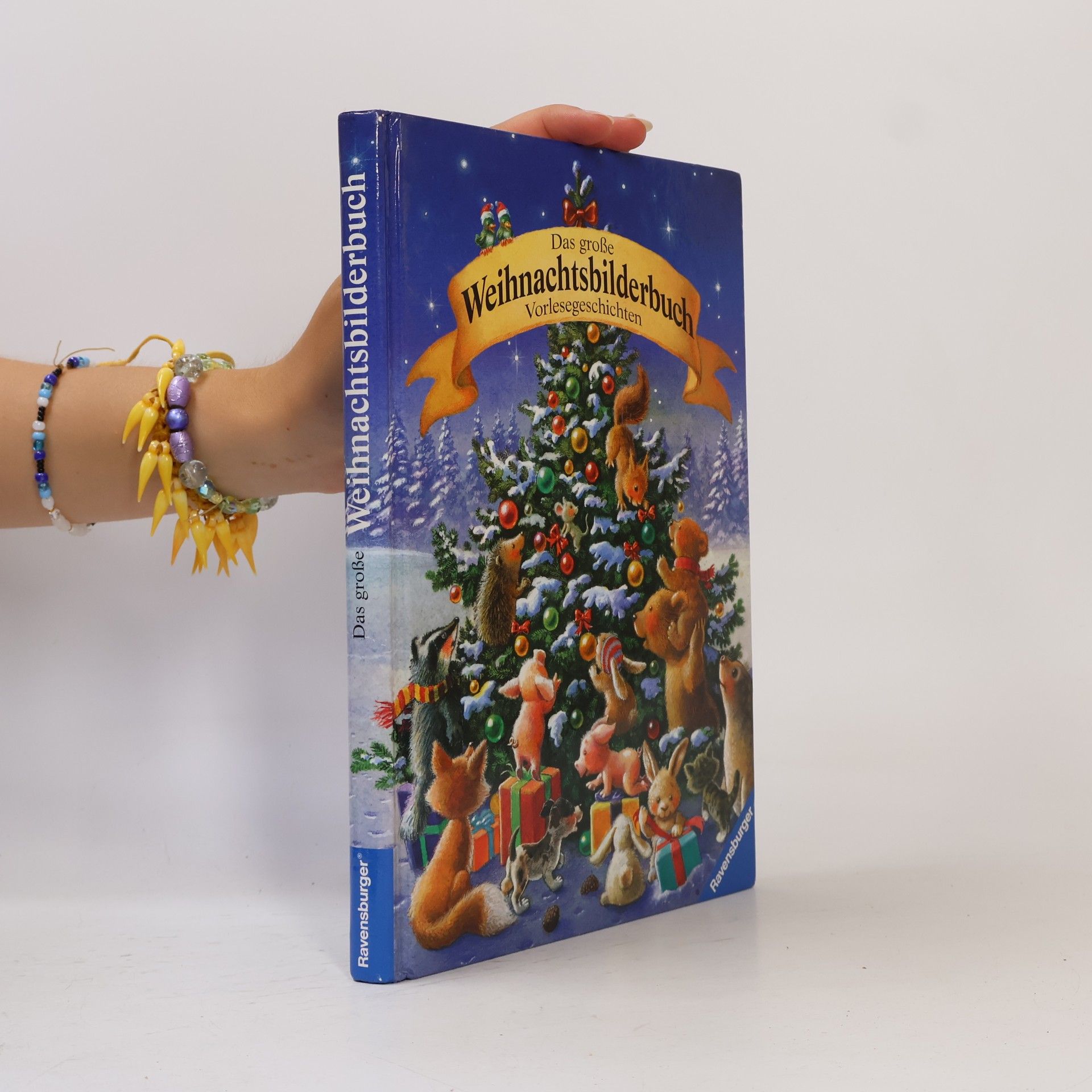 Karin Amann Das große Weihnachtsbilderbuch