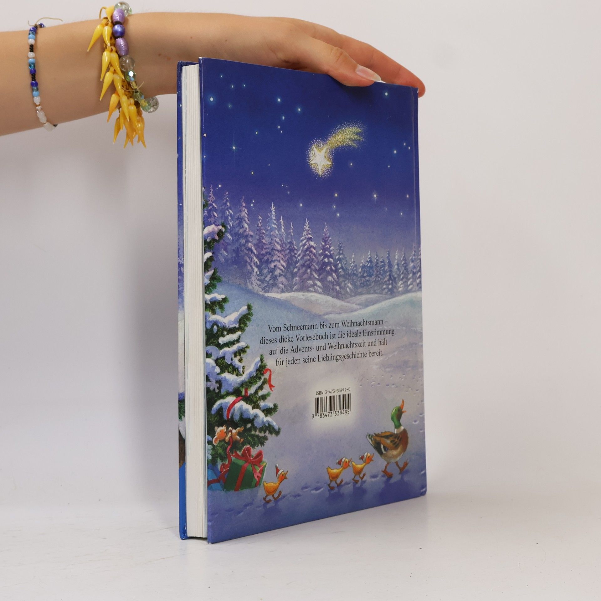 Karin Amann Das große Weihnachtsbilderbuch