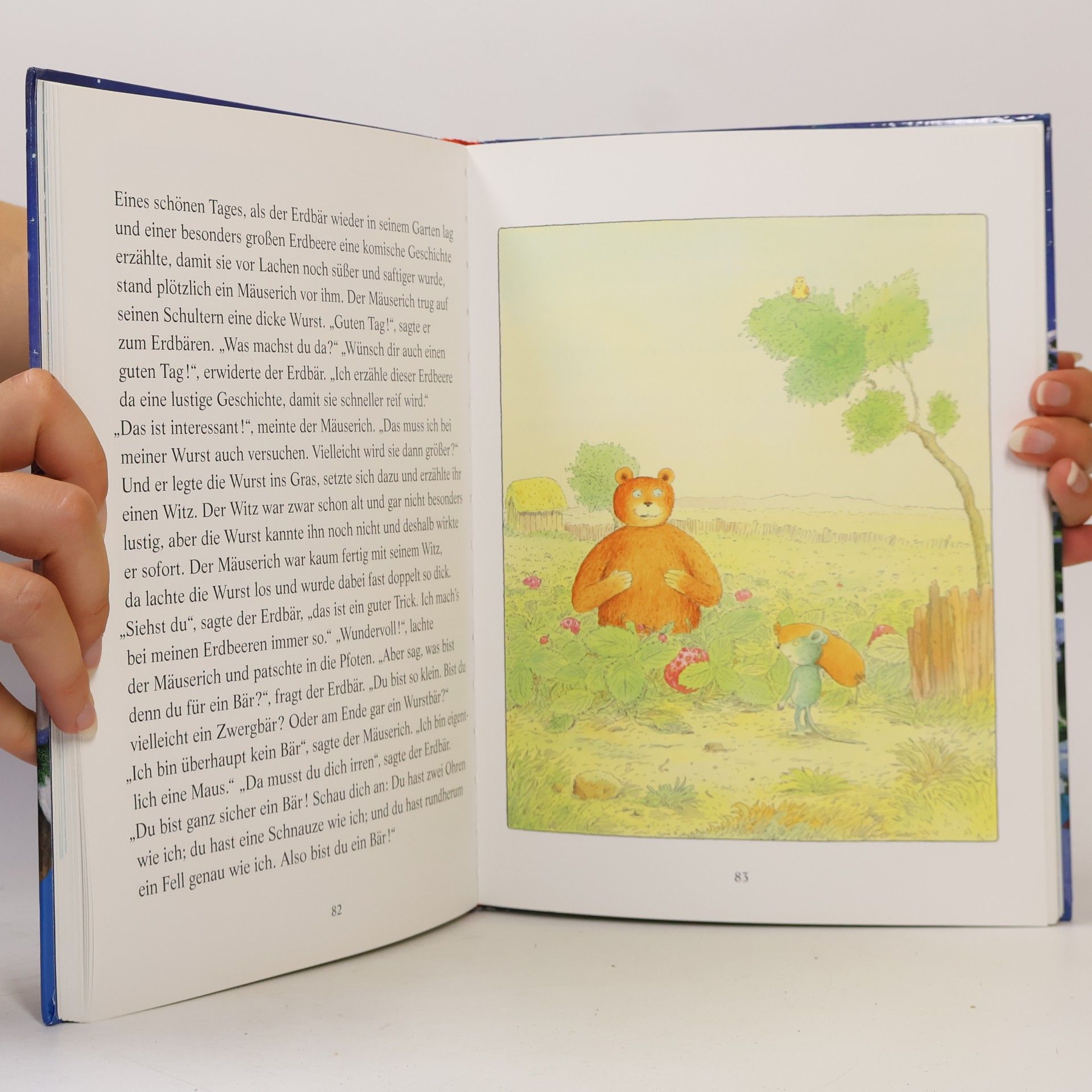 Karin Amann Das große Weihnachtsbilderbuch
