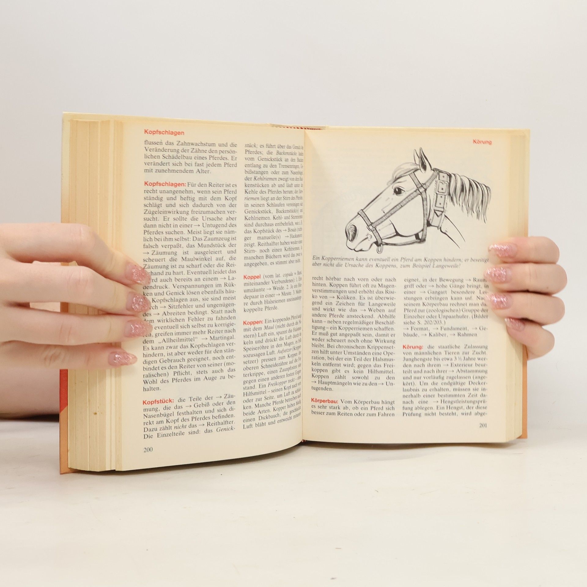 Edel Marzinek Späth Pferde A - Z