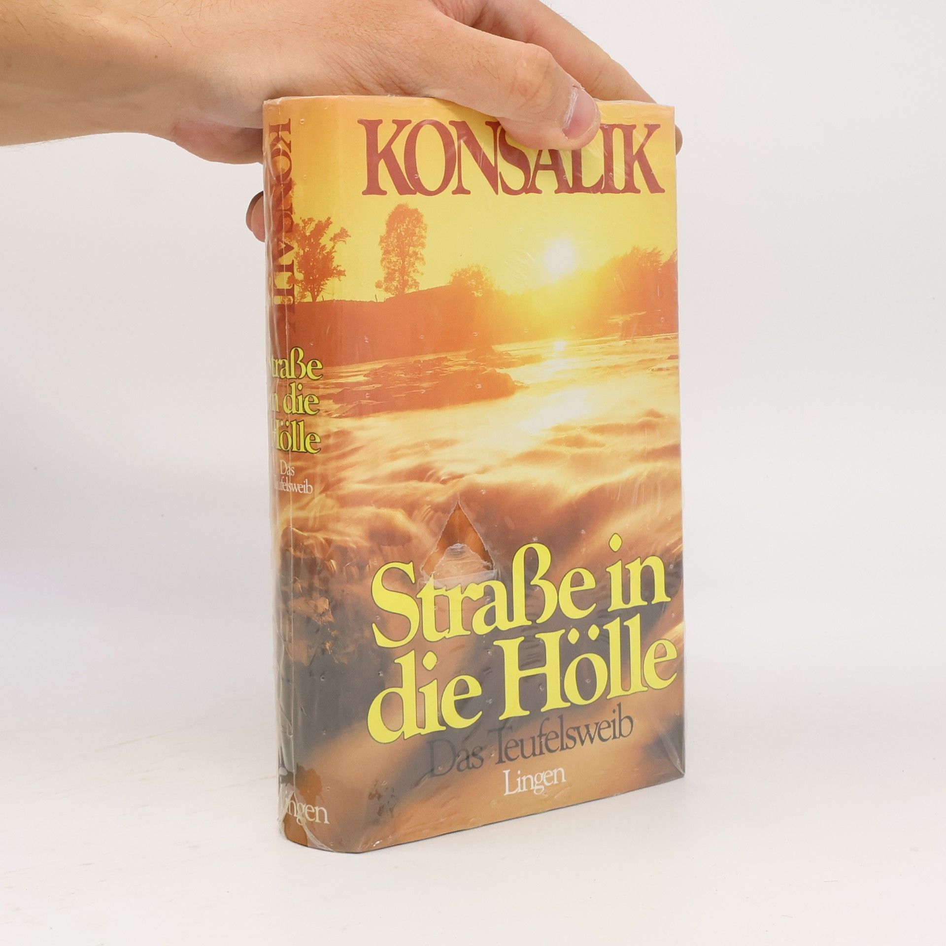 Heinz Günther Konsalik Straße in die Hölle
