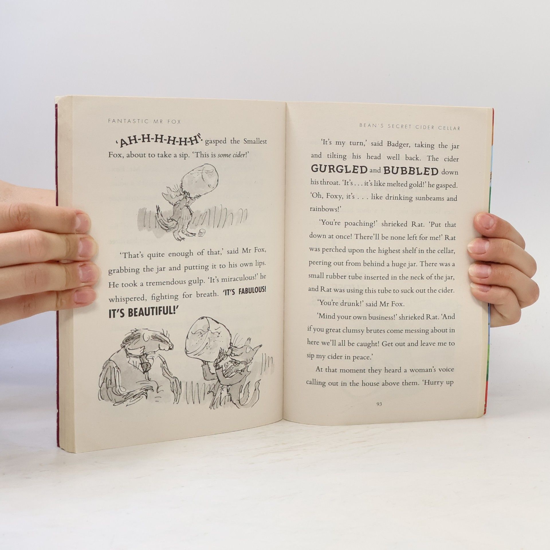 Roald Dahl Fantastic Mr Fox