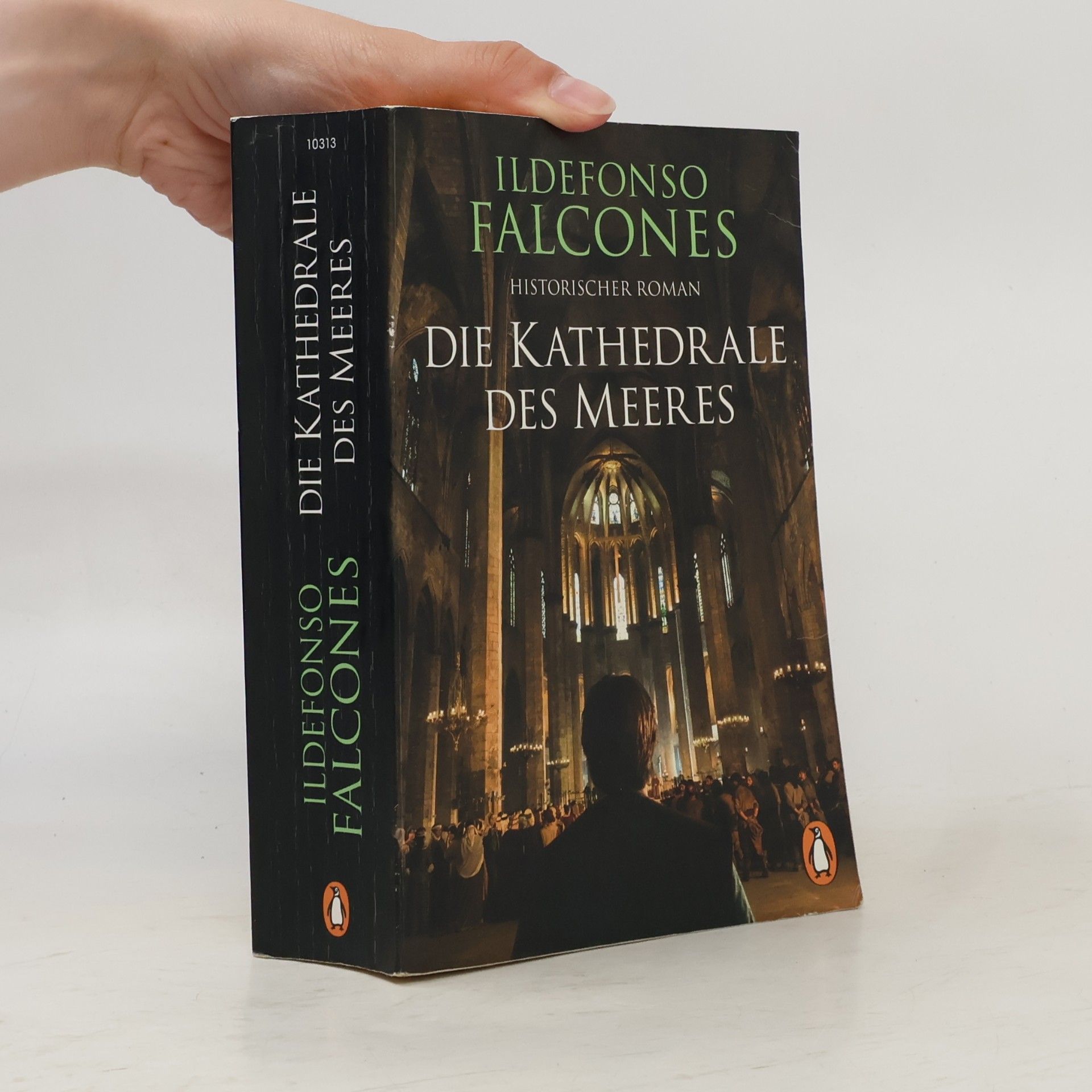 Ildefonso Falcones Die Kathedrale des Meeres