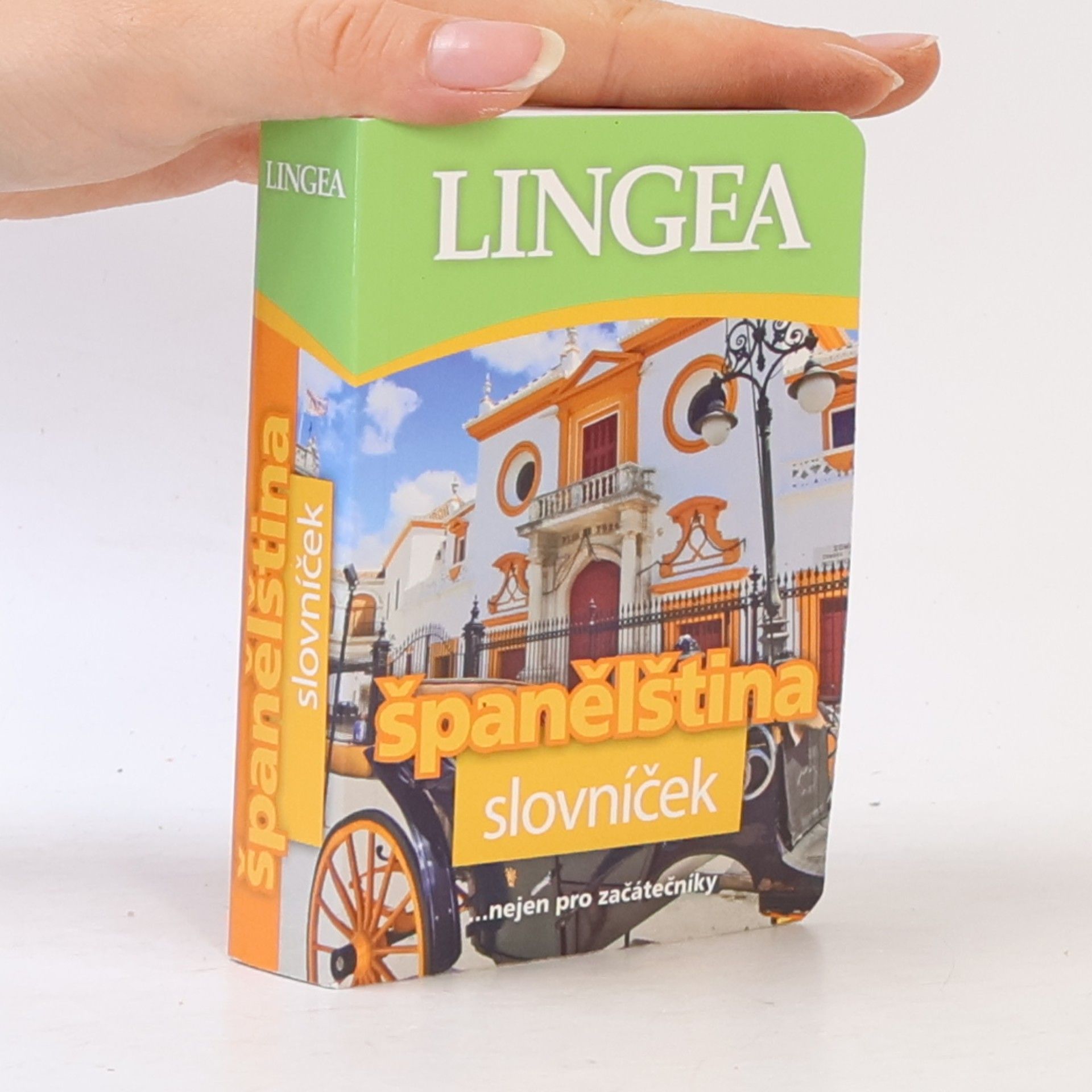 Autorenkollektiv Španělština : slovníček