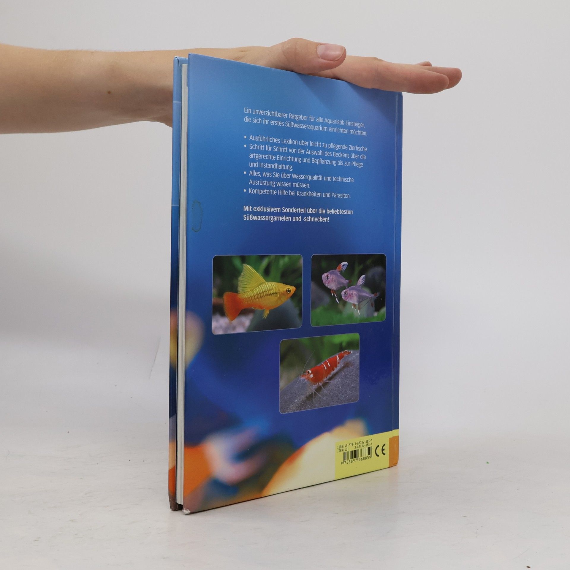Petra Kumbartzky Mein Aquarium