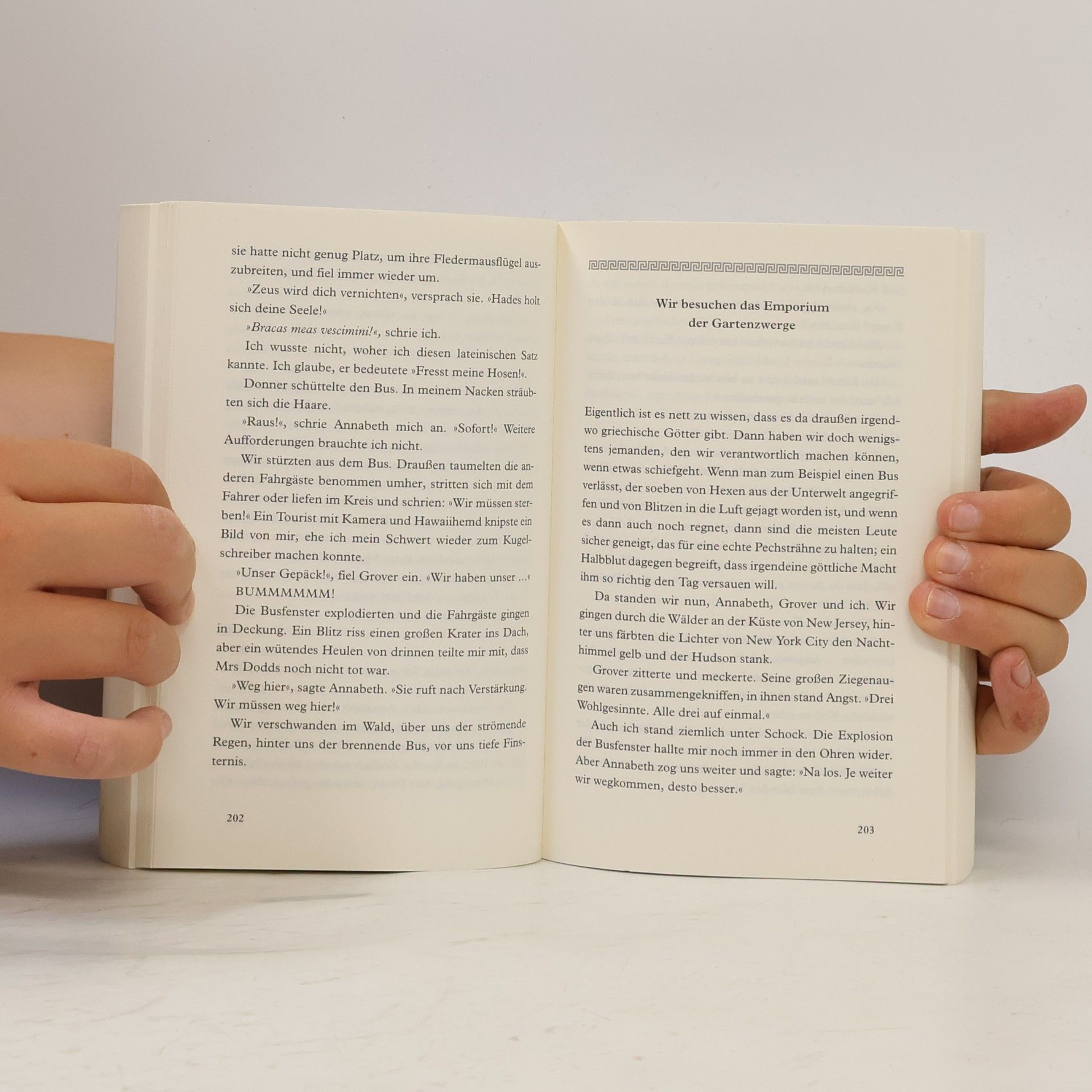 Rick Riordan Percy Jackson: Diebe im Olymp