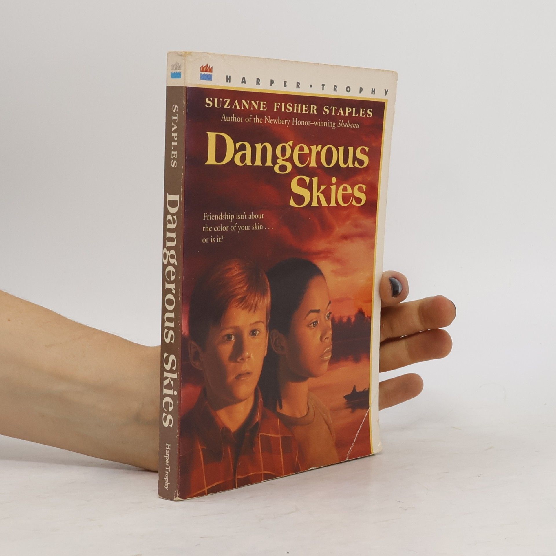 Suzanne Fisher Staples Dangerous Skies