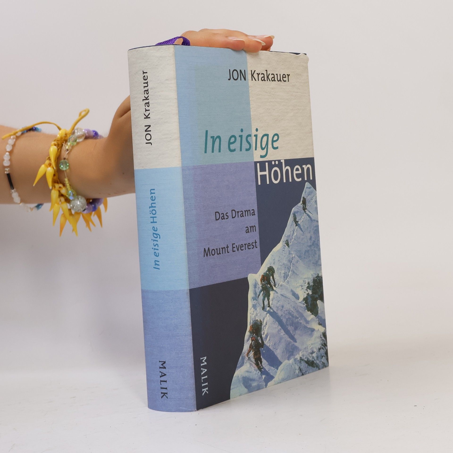 Jon Krakauer In eisige Höhen