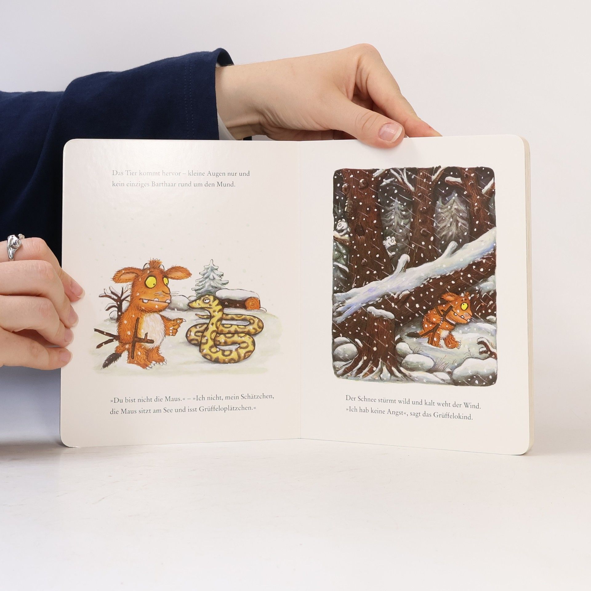 Axel Scheffler Das Grüffelokind