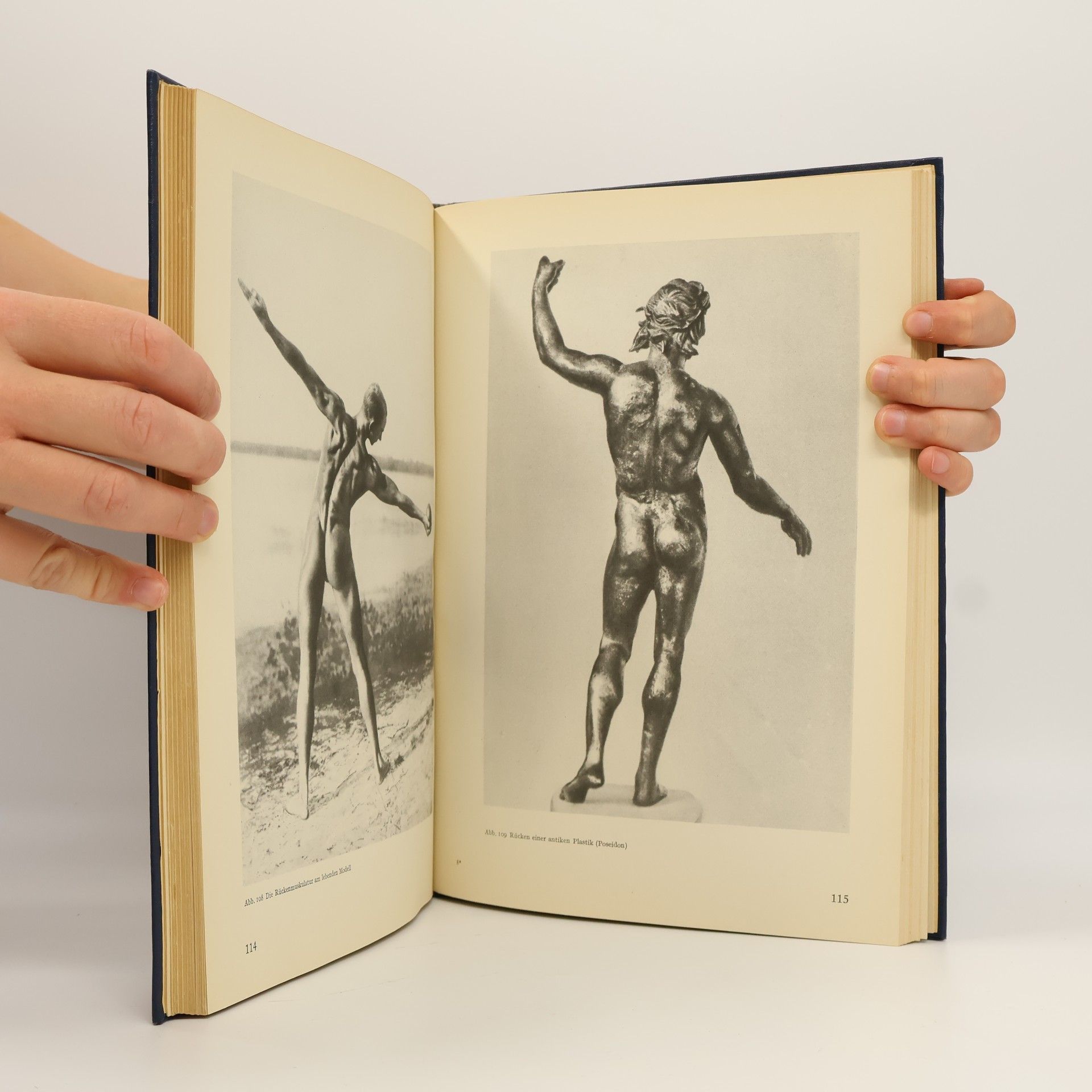 Friedrich Meyner Künstler anatomie