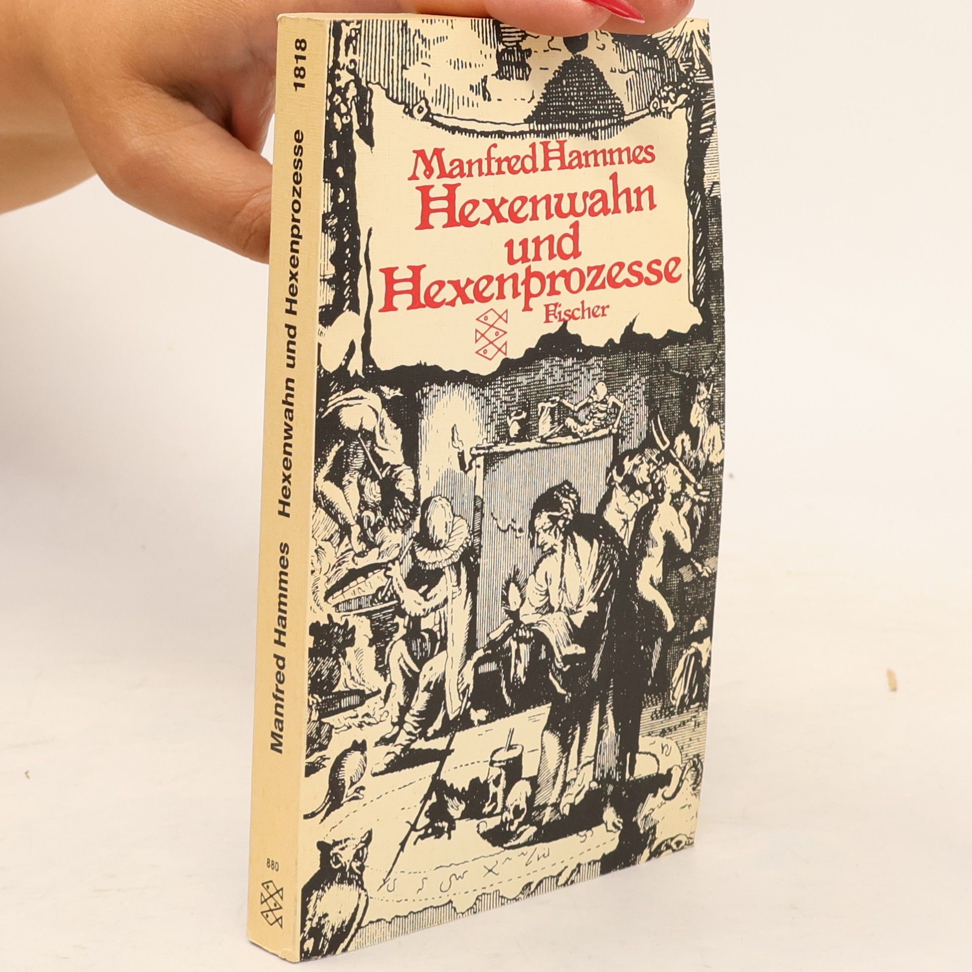Manfred Hammes Hexenwahn und Hexenprozesse
