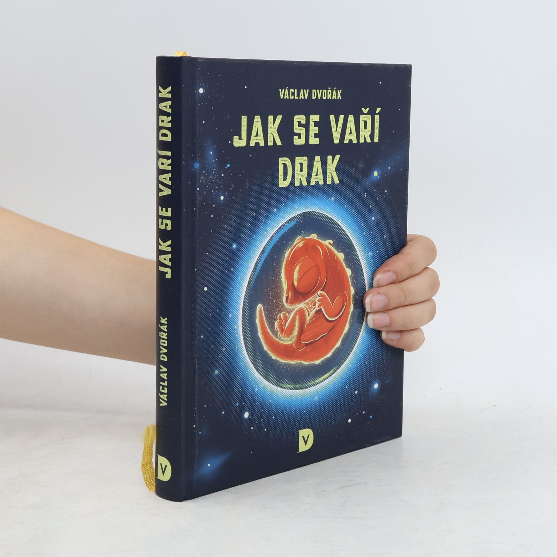 Václav Dvořák Jak se vaří drak