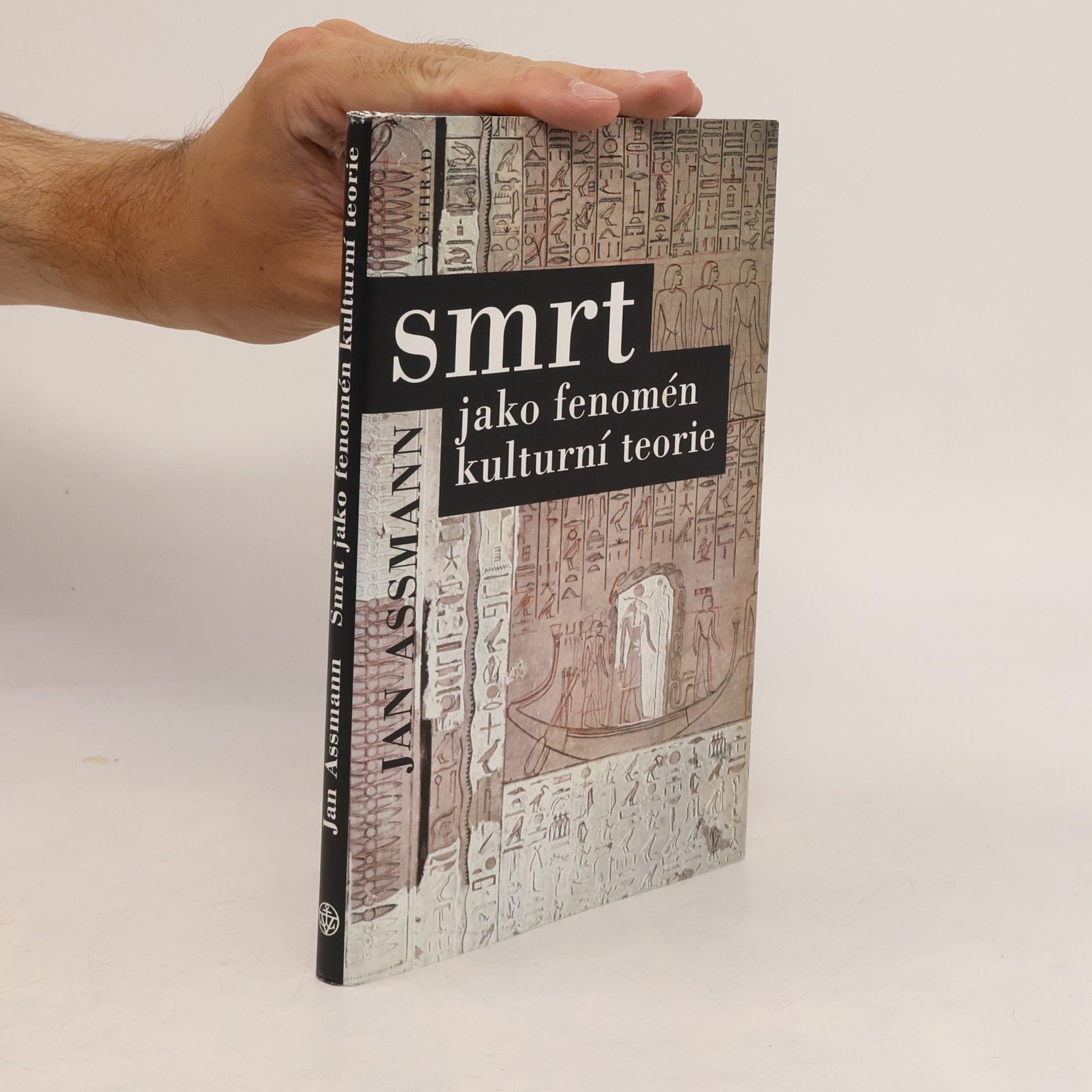 Smrt jako fenomén kulturní teorie