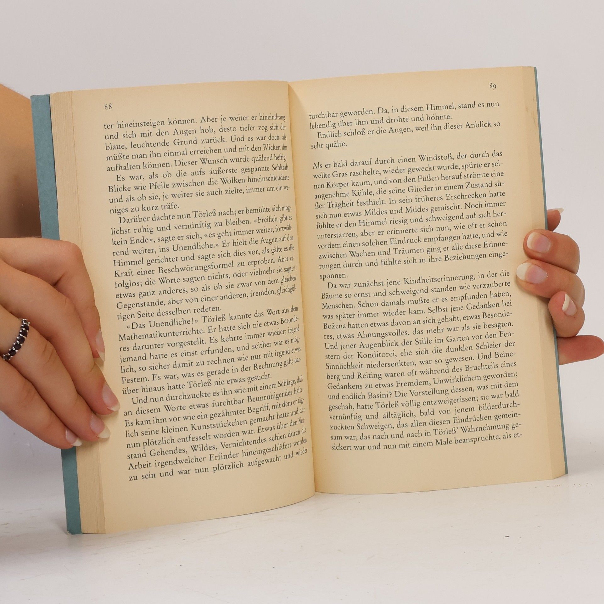 Robert Musil Die Verwirrungen des Zöglings Törleß