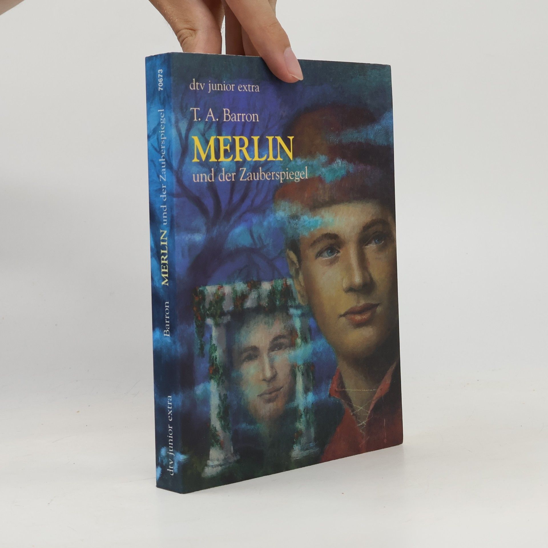 T. A. Barron Merlin und der Zauberspiegel