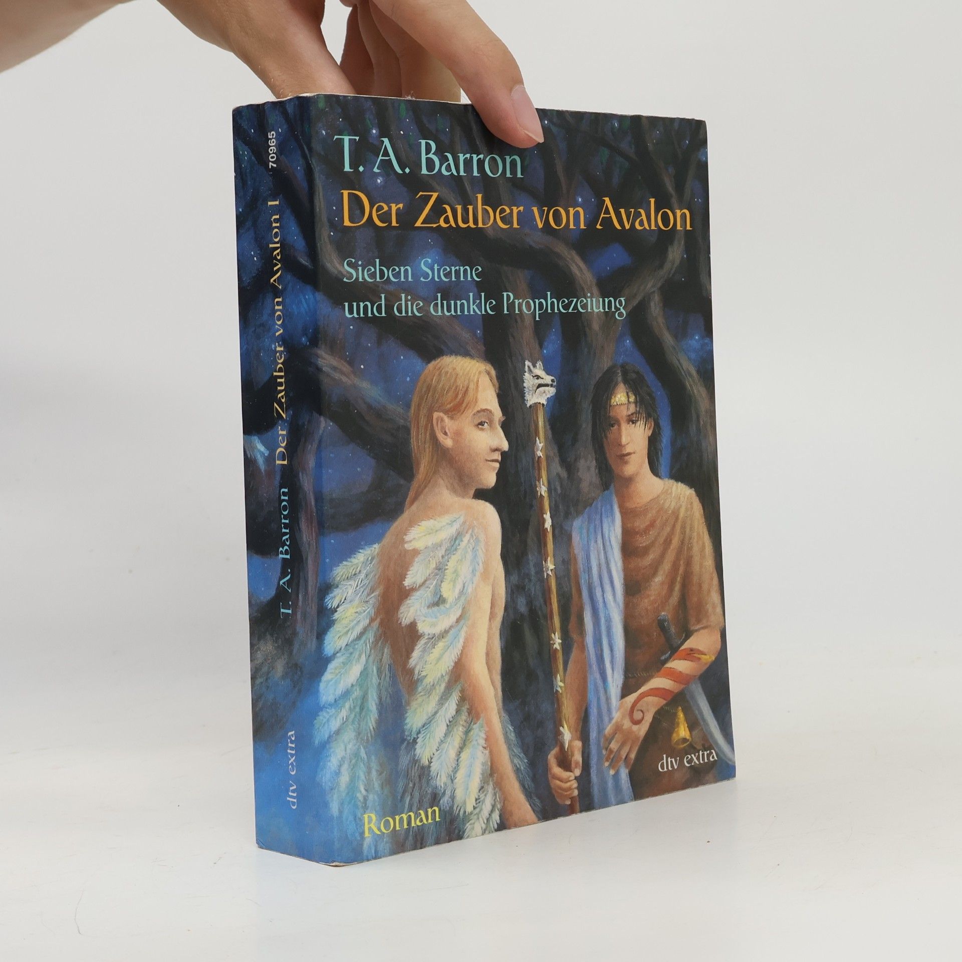 T. A. Barron Der Zauber von Avalon I., Sieben Sterne und die dunkle Prophezeiung
