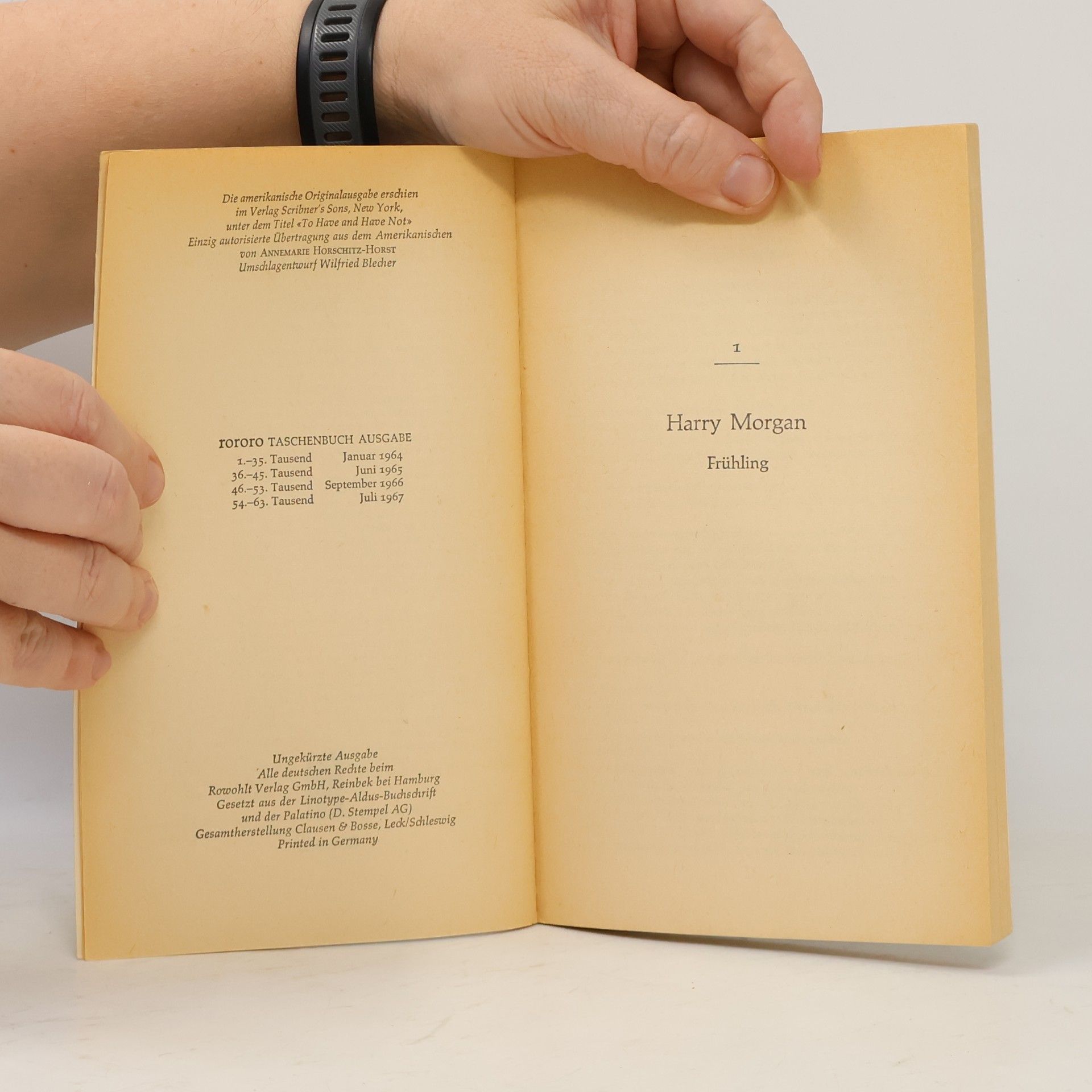 Ernest Hemingway Haben und Nichthaben