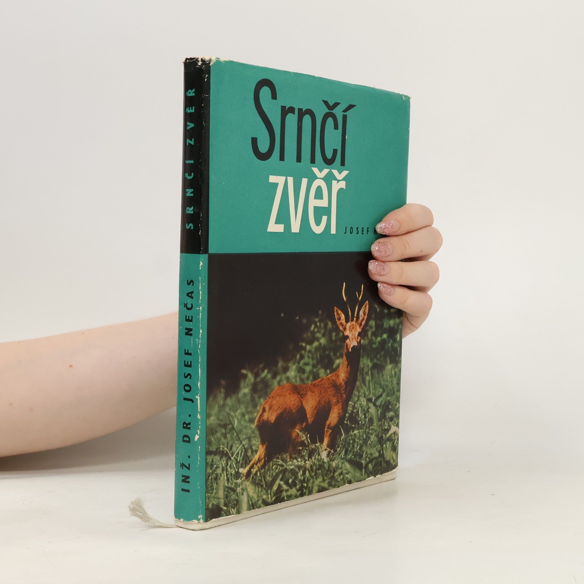 Josef Nečas Srnčí zvěř