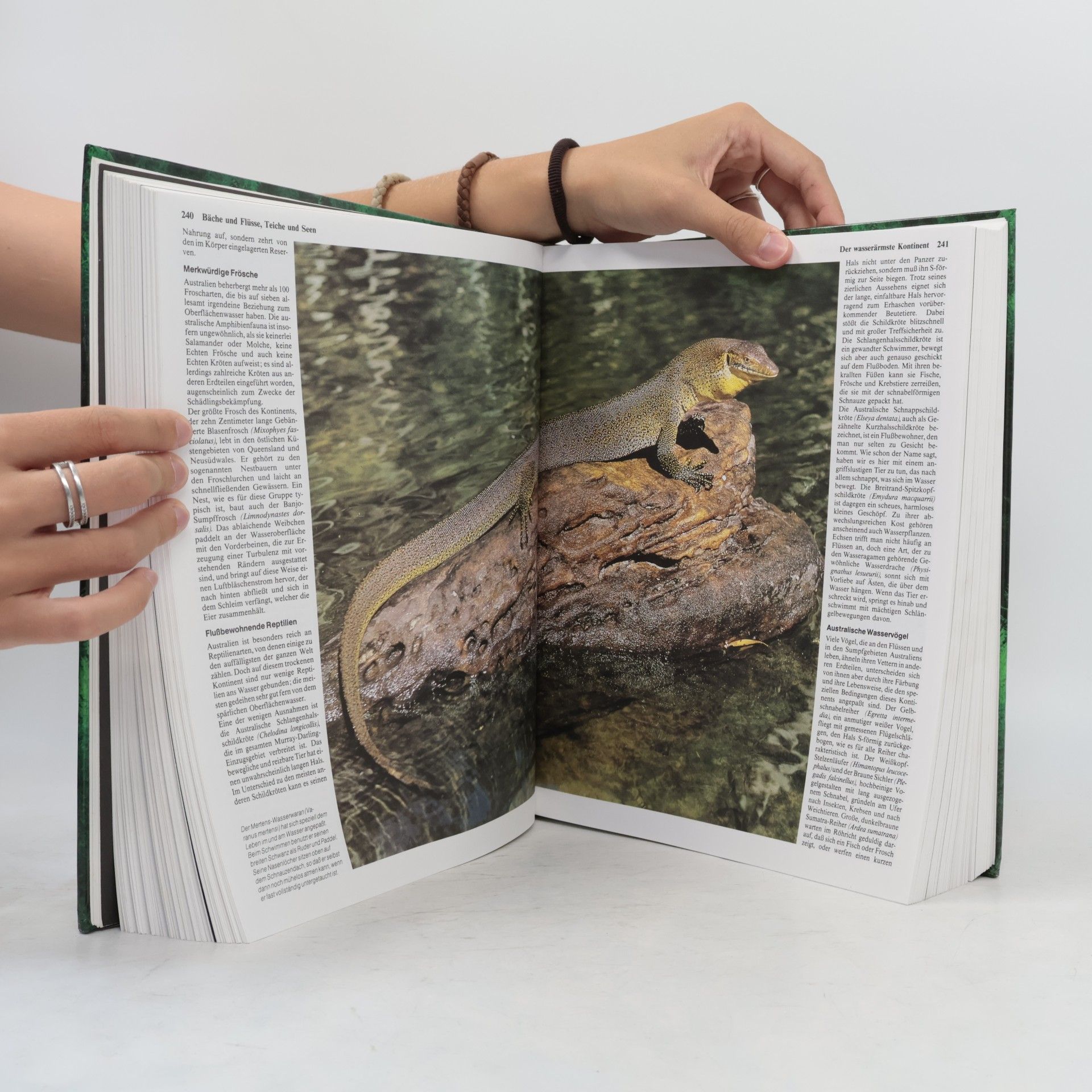 Siegfried Schmitz Das große Buch der Tierwelt. Der farbige Naturführer durch alle Kontinente