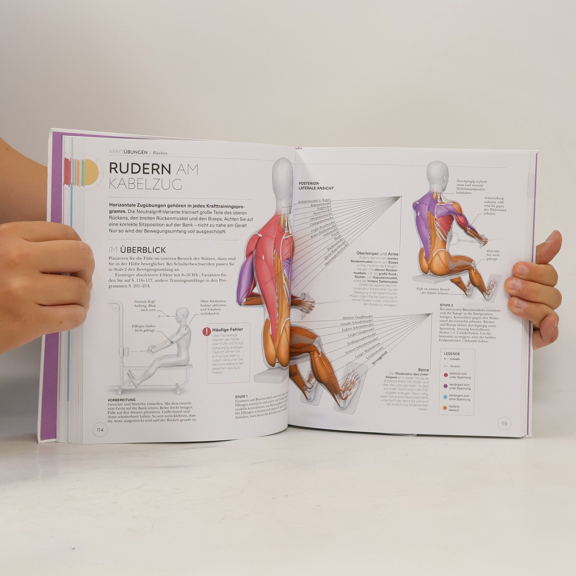 Austin Current Krafttraining. Die Anatomie verstehen