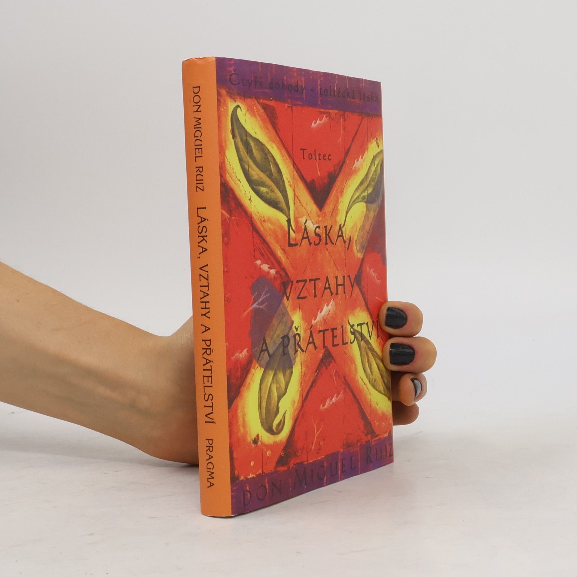 Don Miguel Ruiz Láska, vztahy a přátelství
