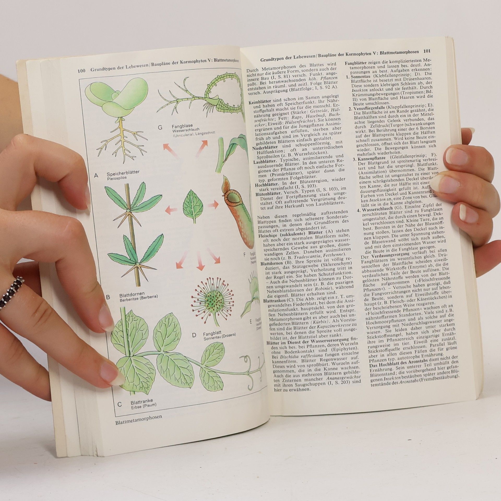 Günter Vogel dtv-Atlas zur Biologie 1