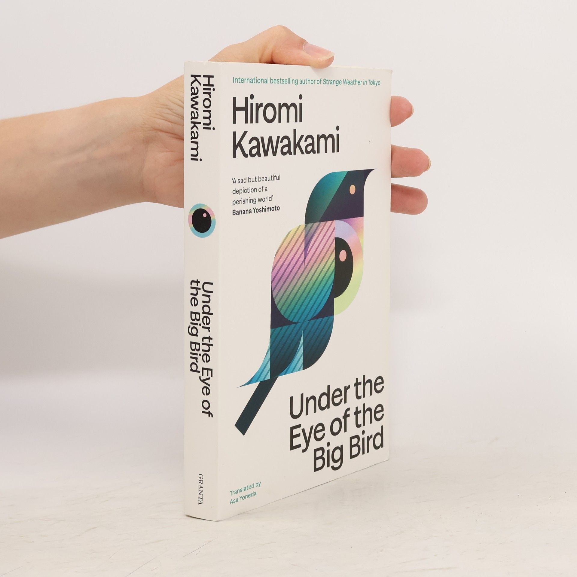 Hiromi Kawakami Under the Eye of the Big Bird