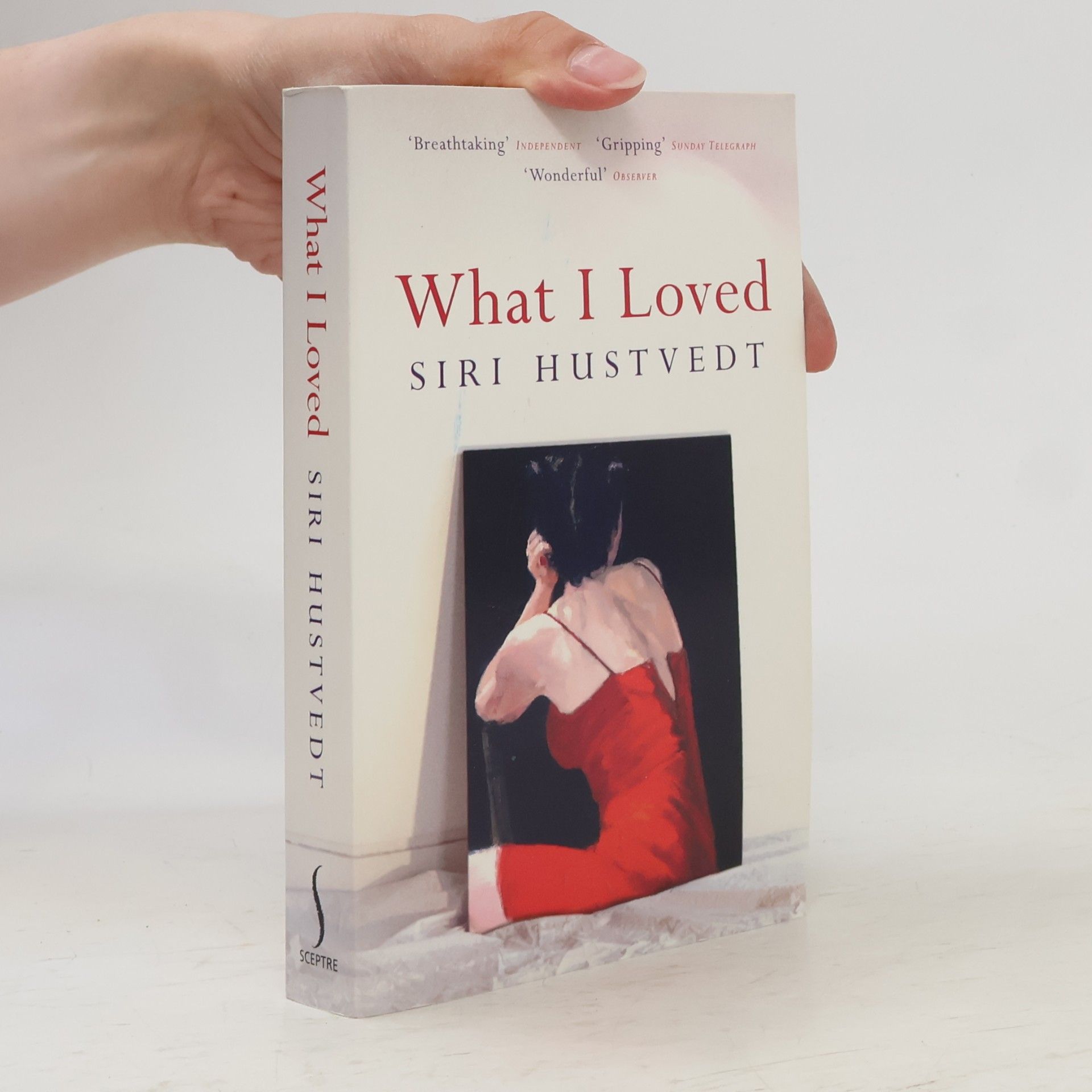Siri Hustvedt What I Loved