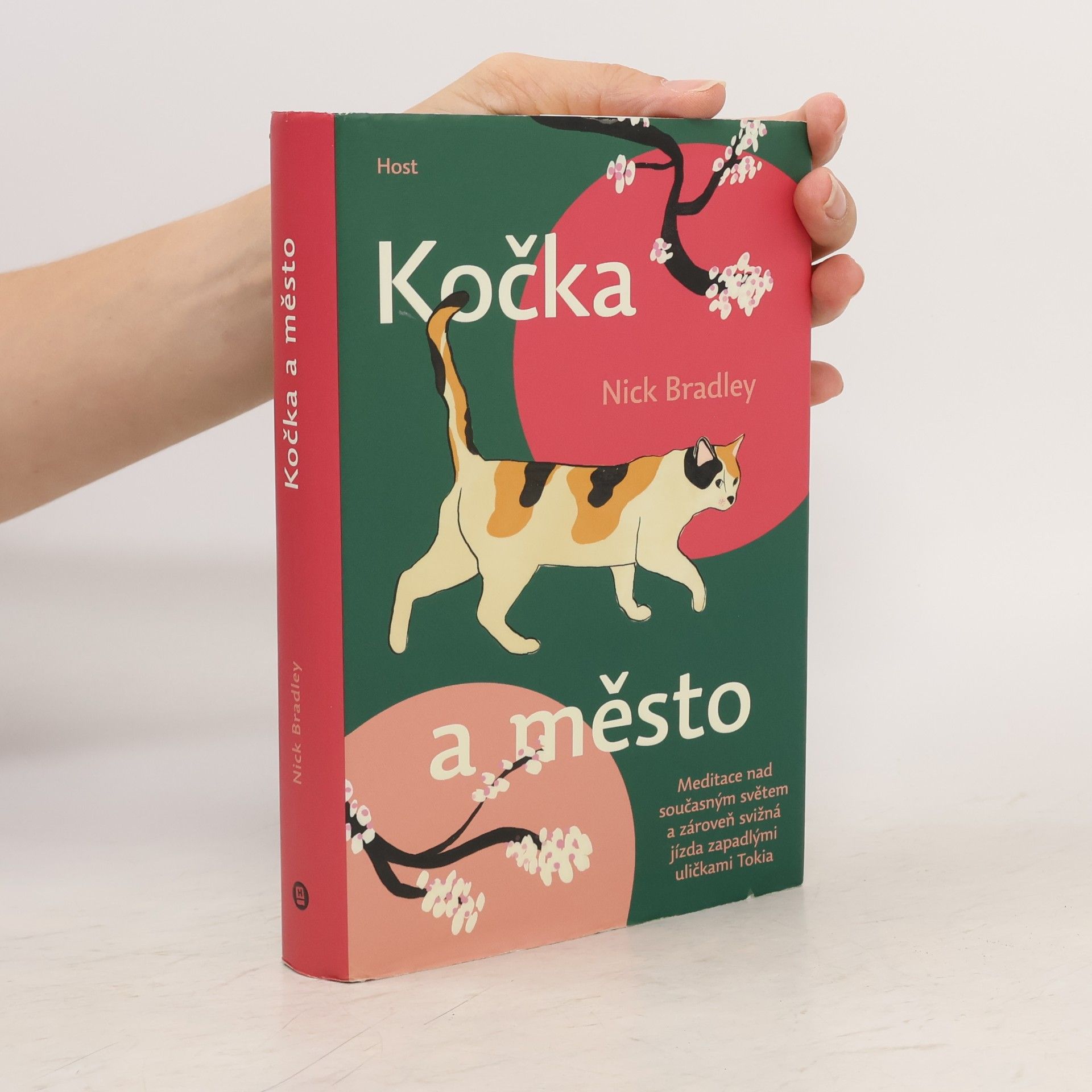 Nick Bradley Kočka a město